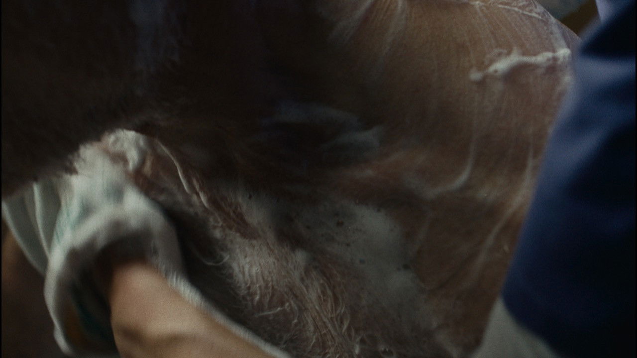 Backdrop for Dignity Keeper