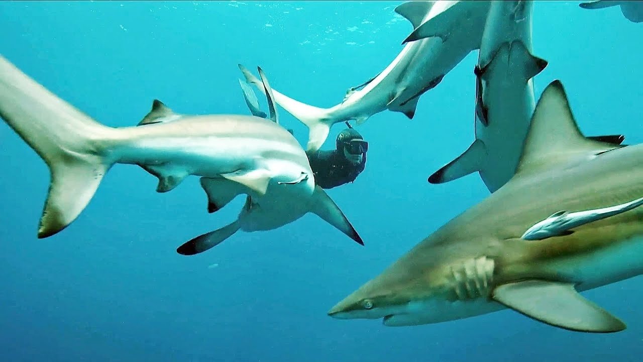 Backdrop for Revolution