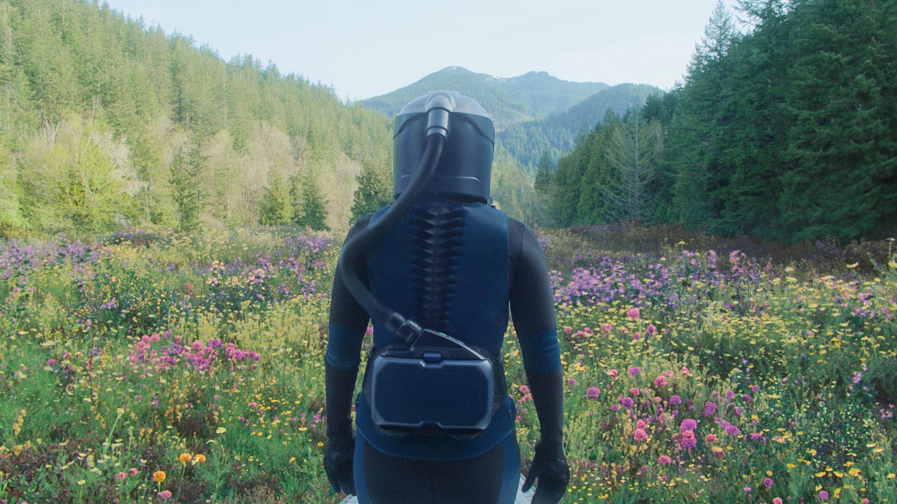 Backdrop for In the Blink of an Eye