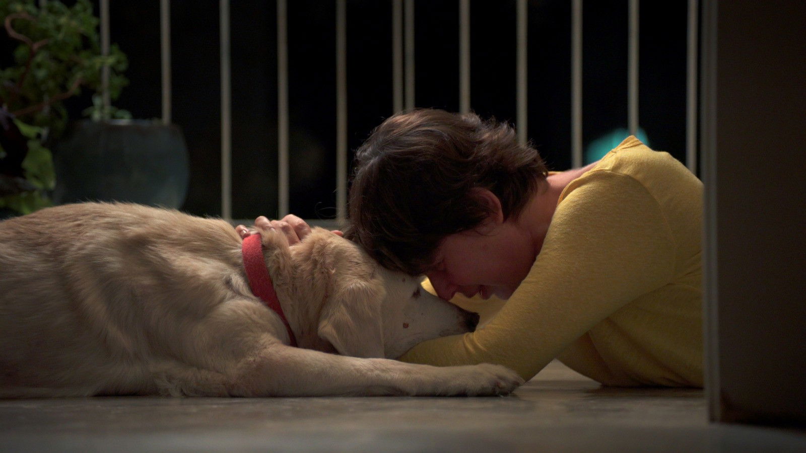 Backdrop for Clinging