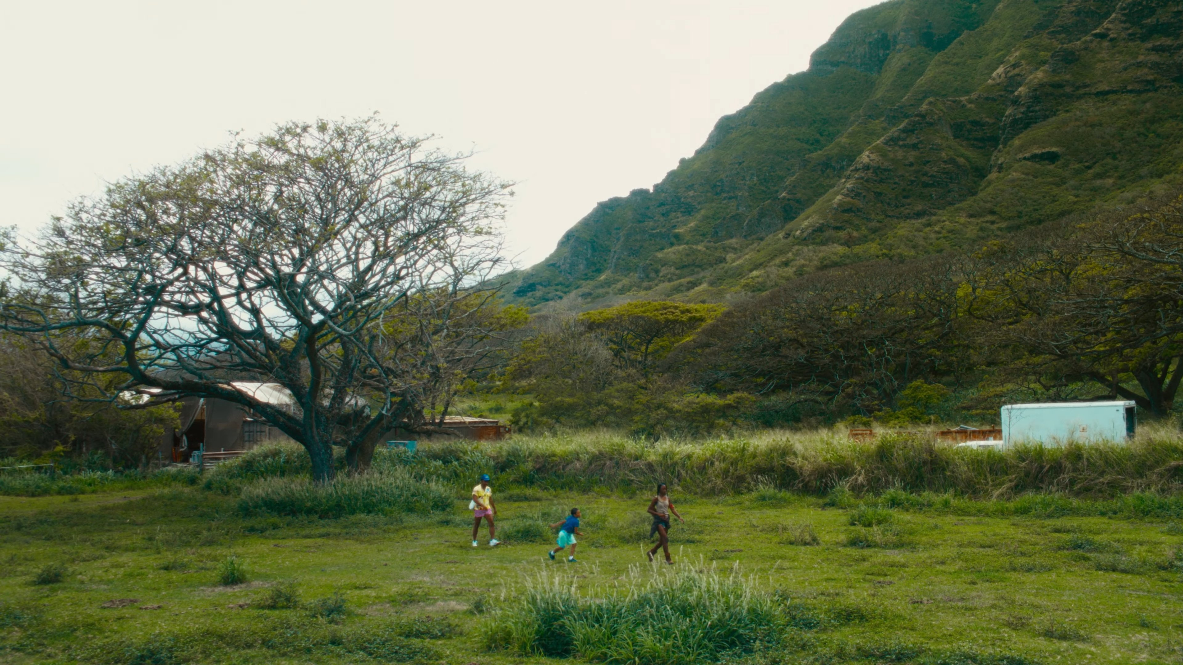 Backdrop for Bando Stone and The New World