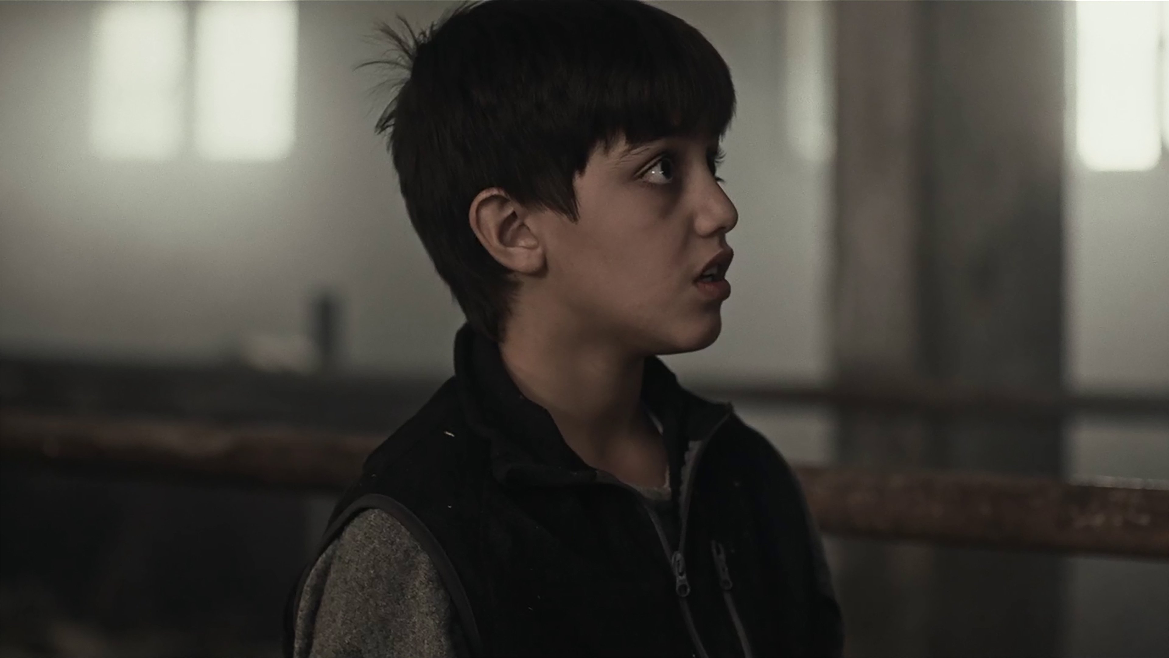 Backdrop for When the Walnut Leaves Turn Yellow