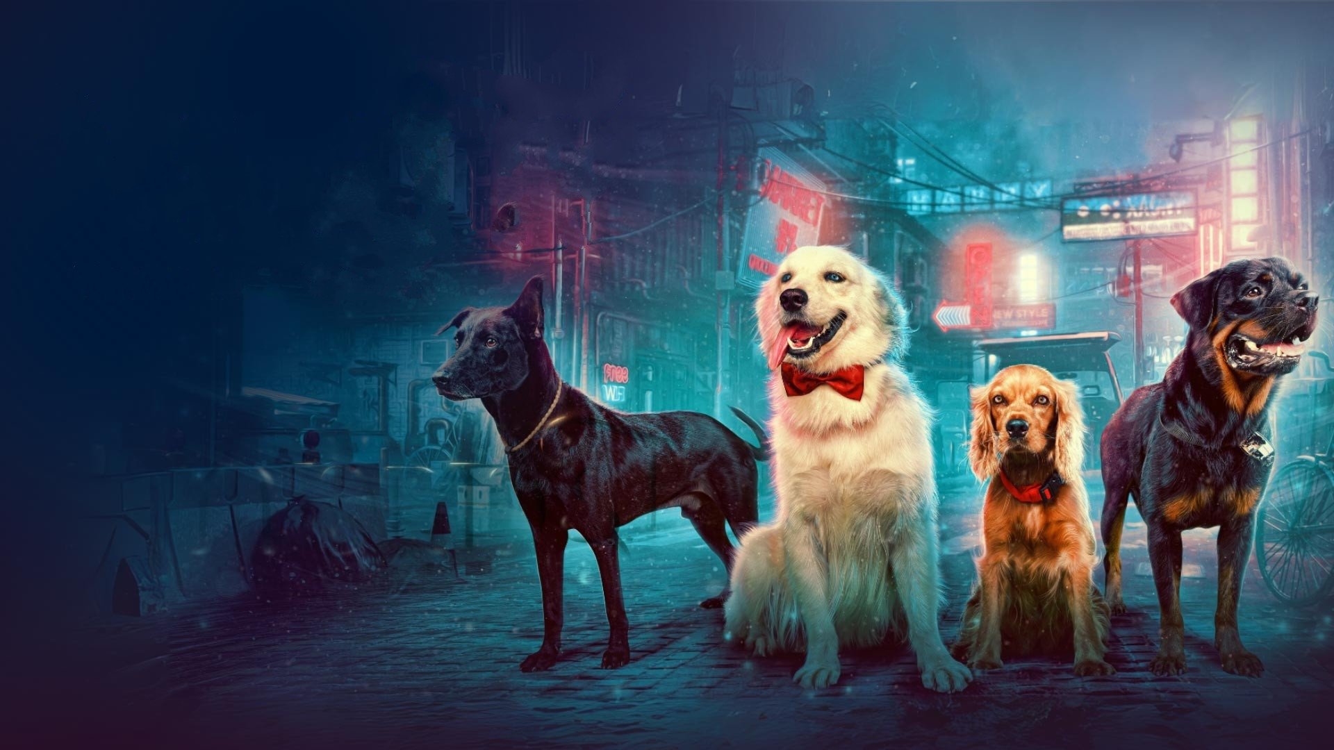 Backdrop for Valatty