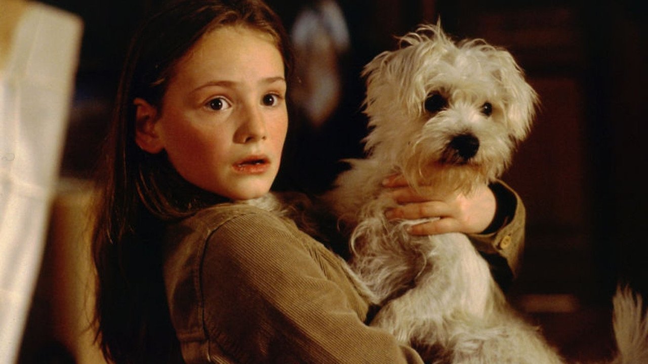 Backdrop for Mein Bruder ist ein Hund