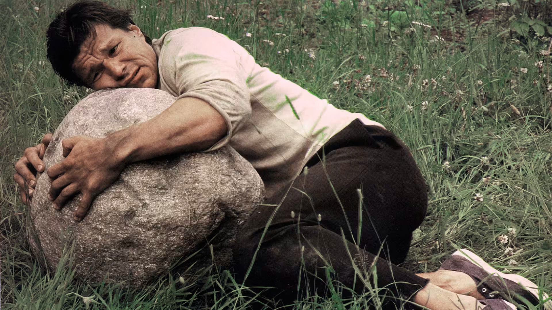 Backdrop for The Last Wedding