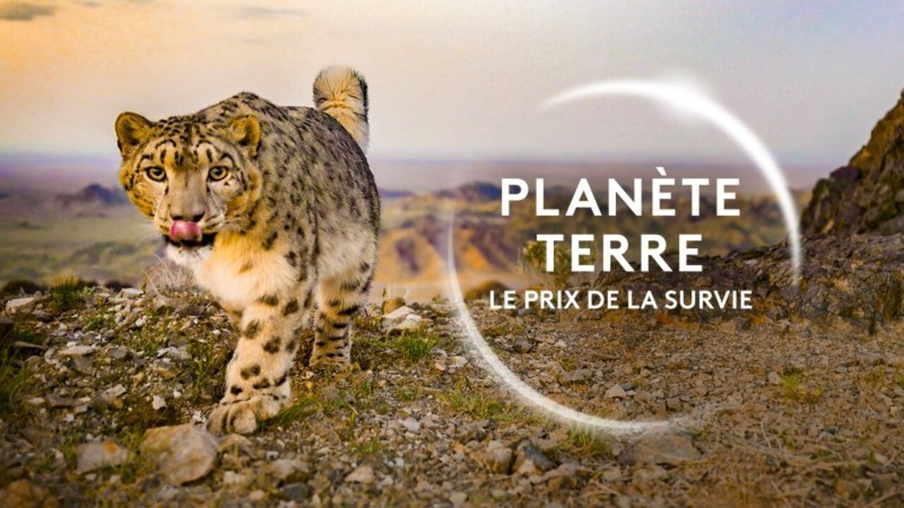 Backdrop for Planète Terre, le prix de la survie