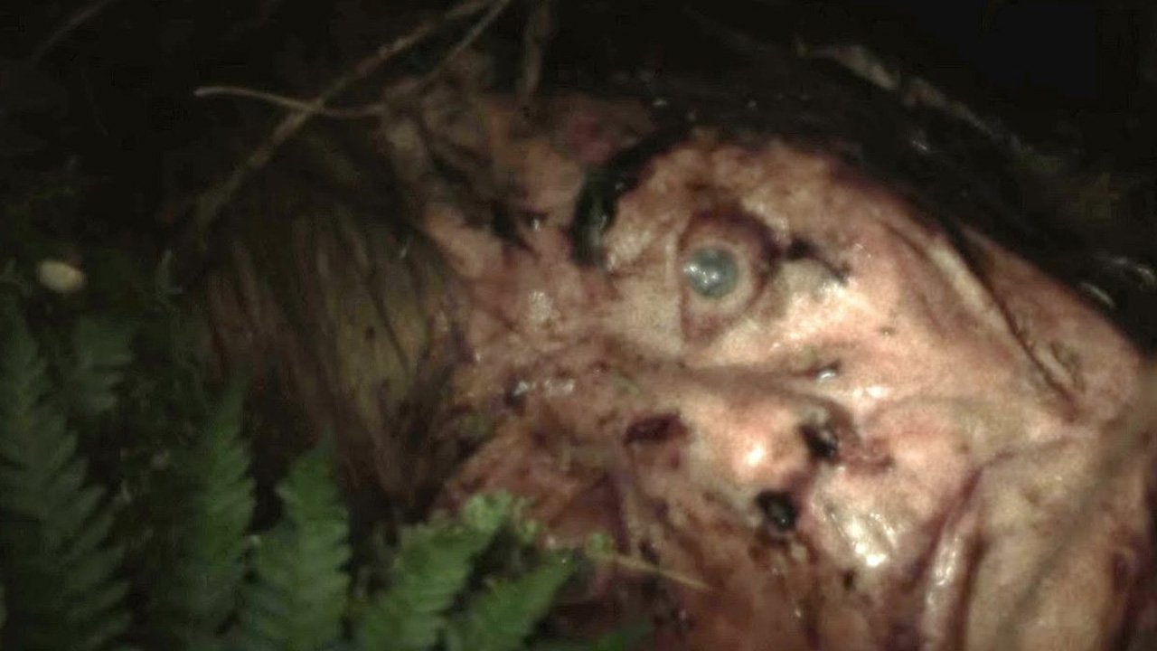 Backdrop for Cold Ground