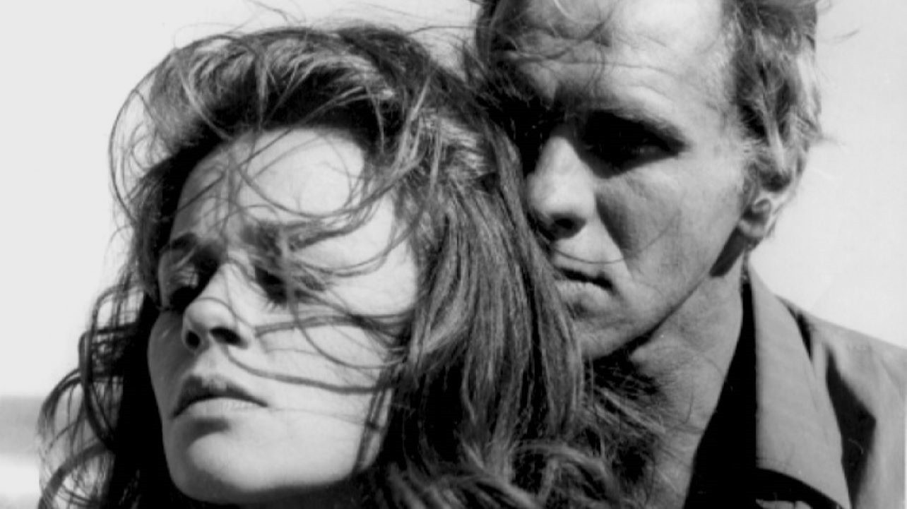 Backdrop for Before, the Summer