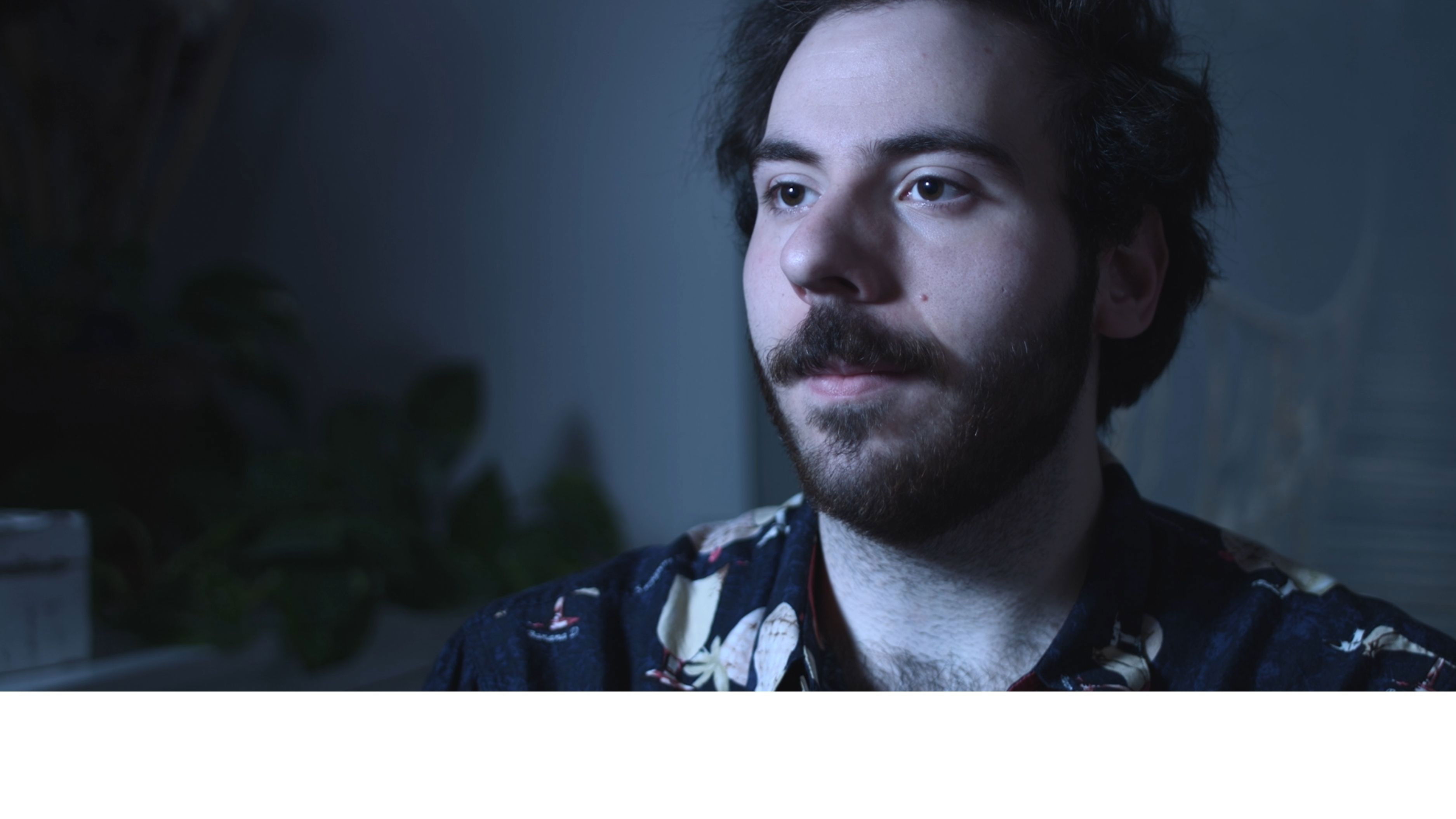 Backdrop for La Théorie verte