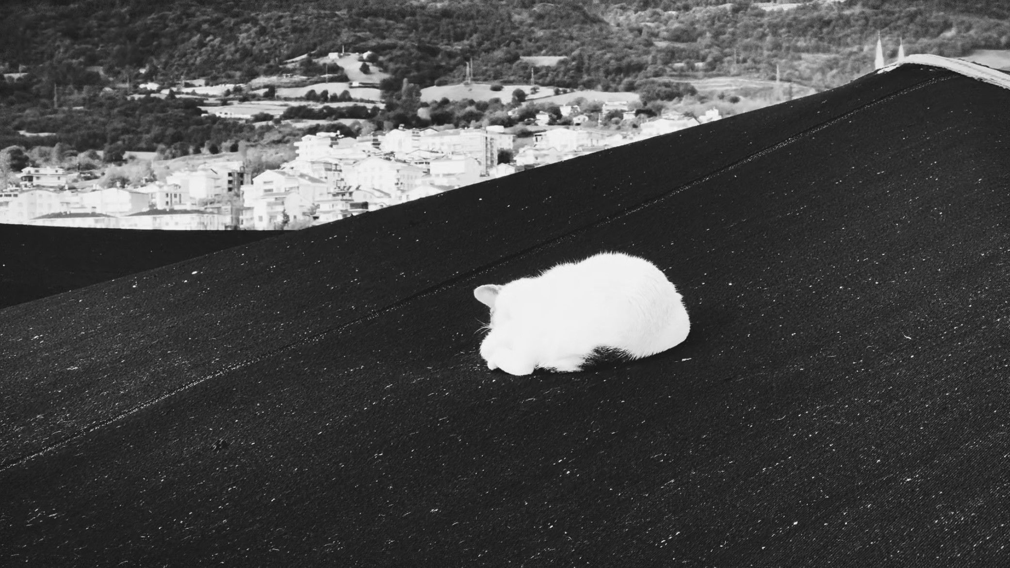 Backdrop for Gemi Mezarlığı