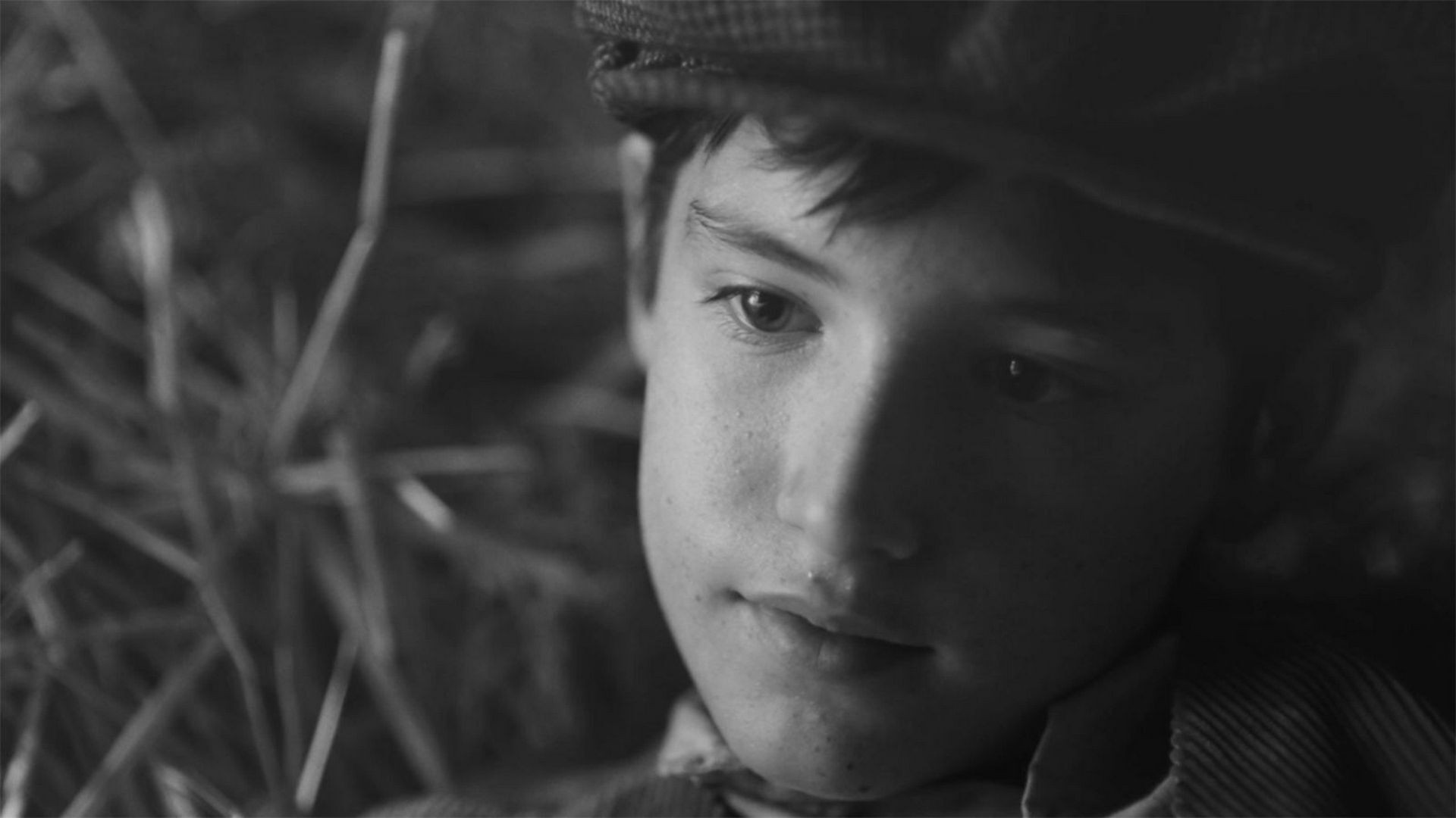 Backdrop for One Hundred and One