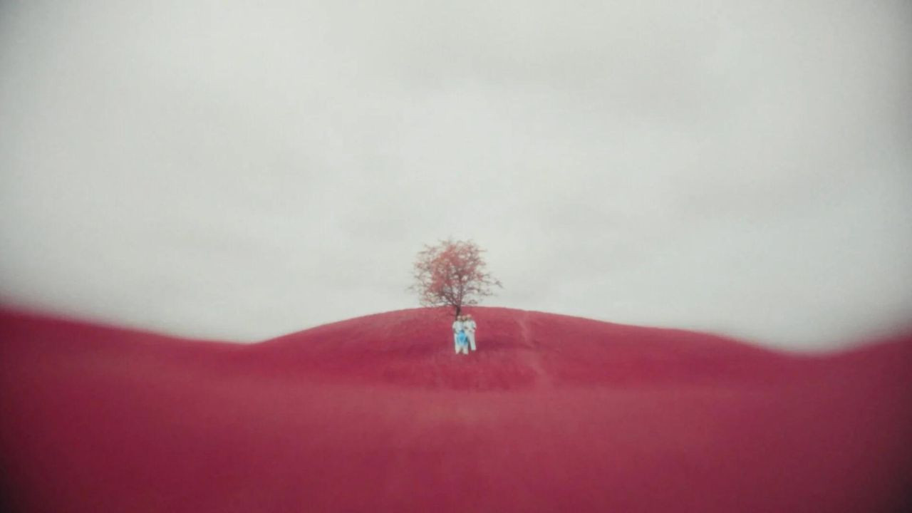 Backdrop for STAR QUEST!