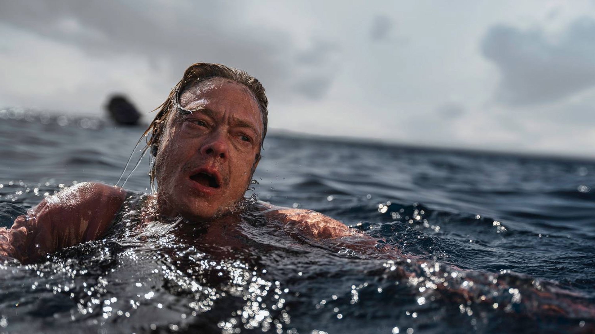 Backdrop for War Sailor