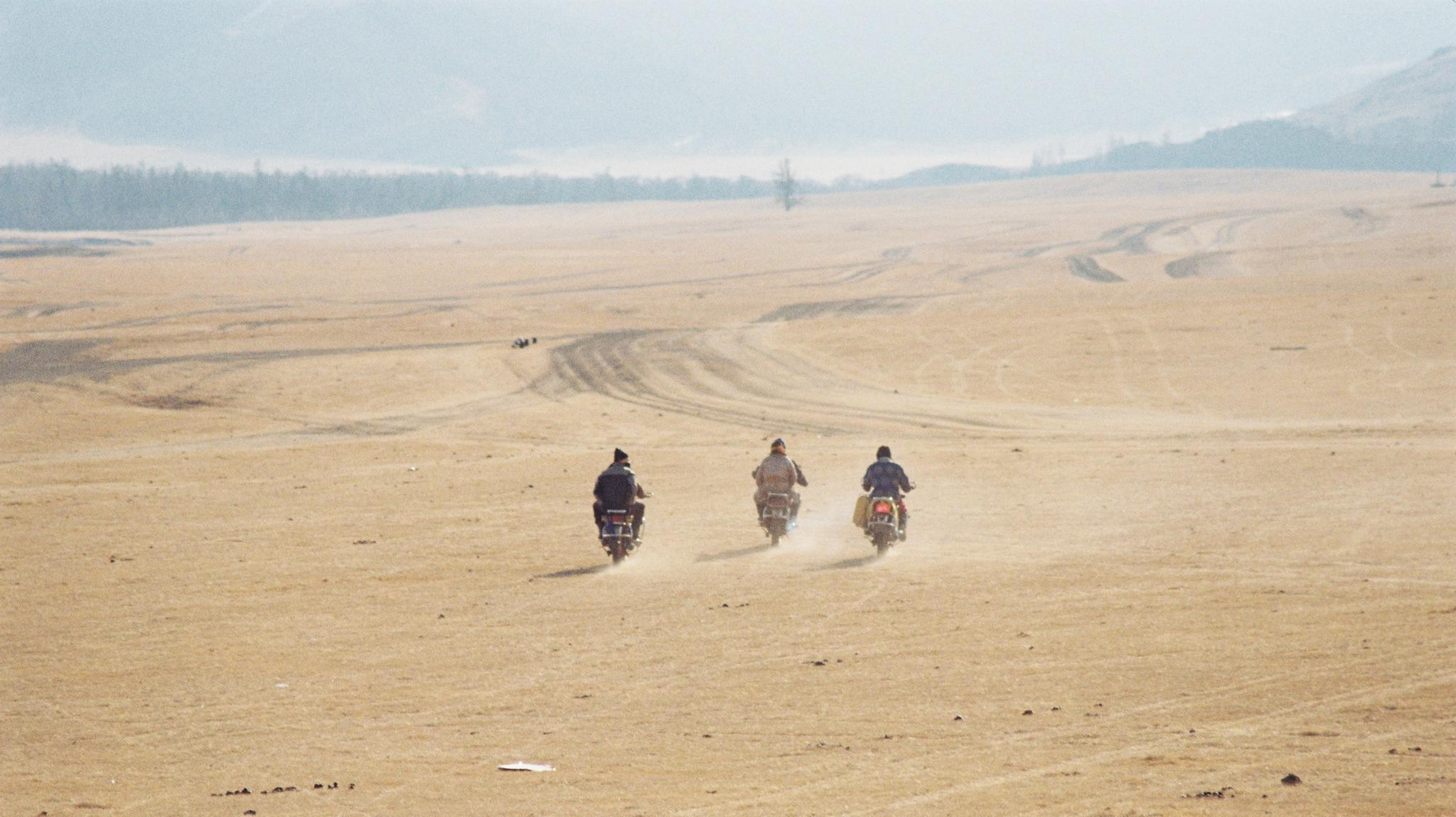 Backdrop for Ninja White