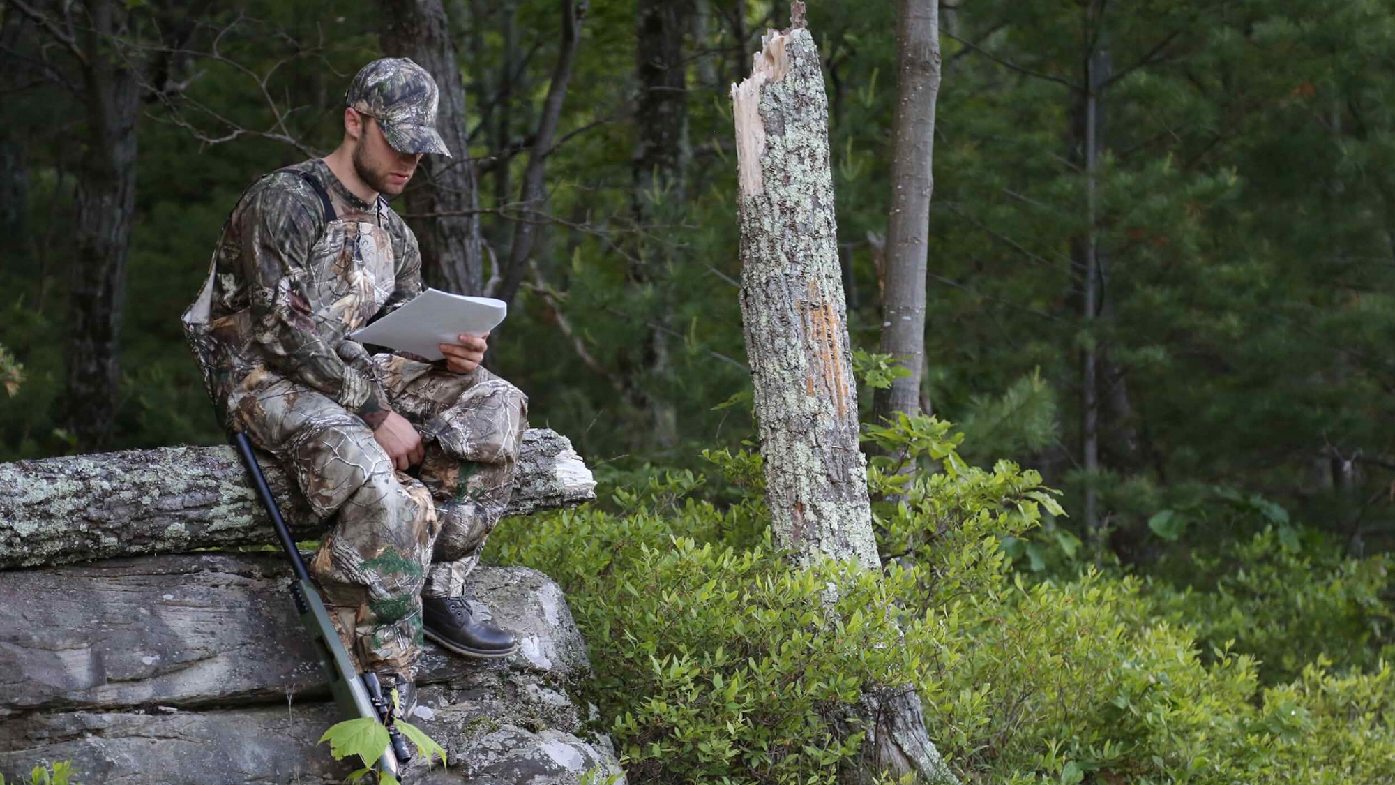 Backdrop for The Hunter