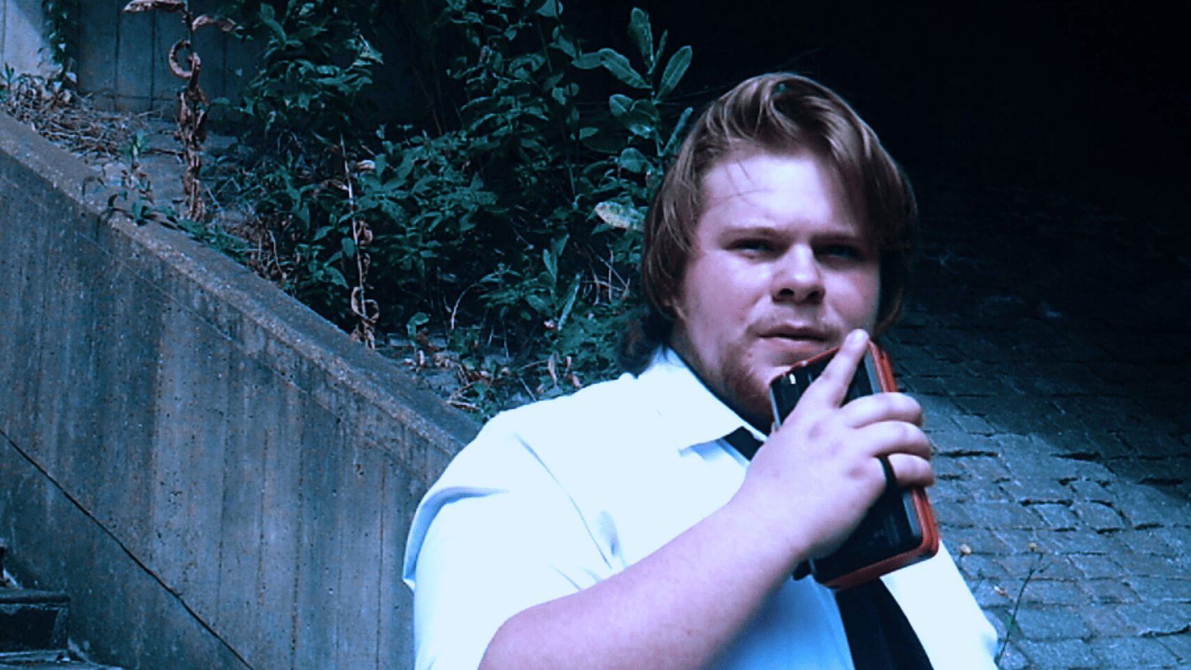 Backdrop for The Terror of Whippendell Wood: Part 4: The Report