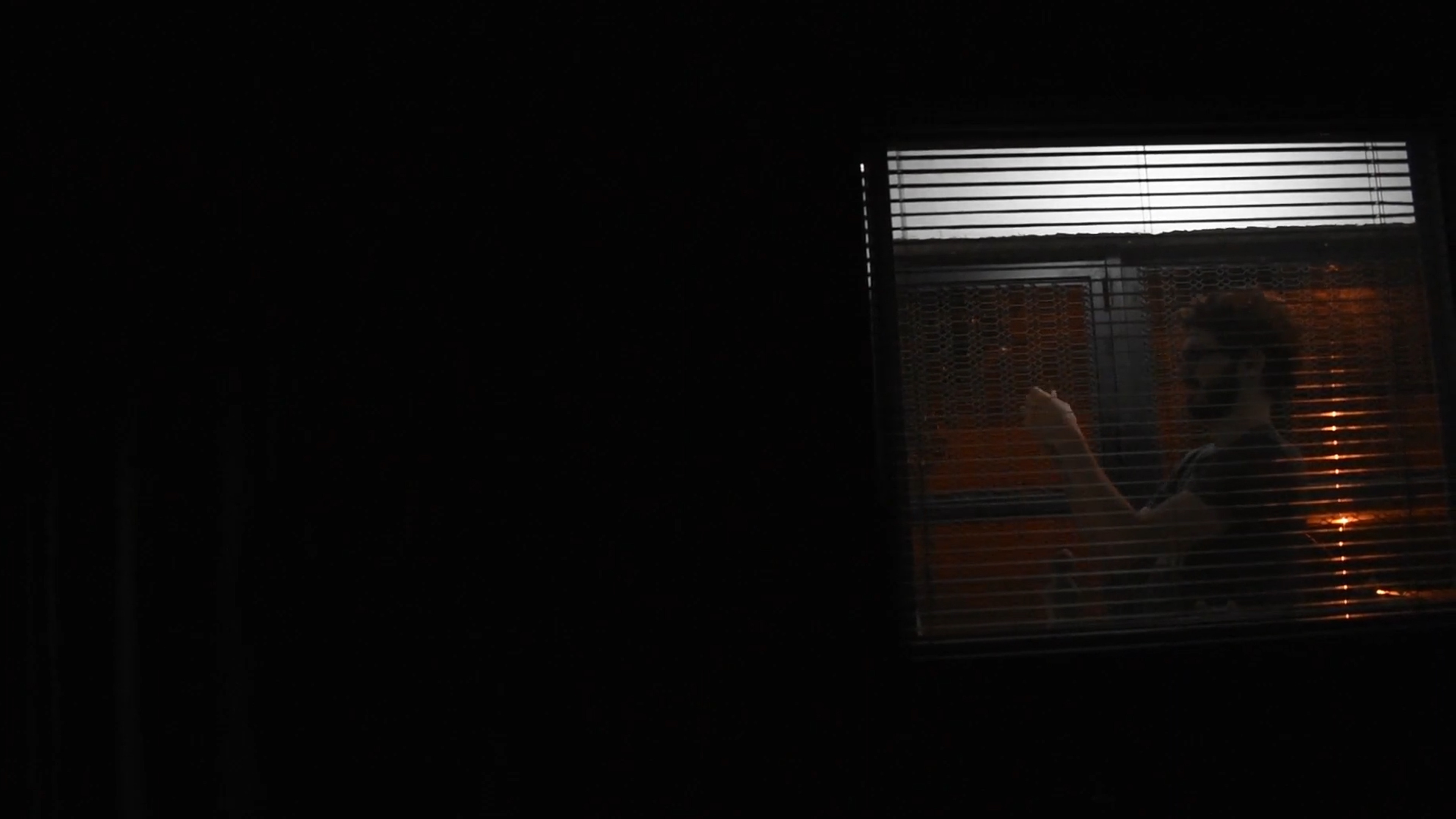 Backdrop for Zombificado