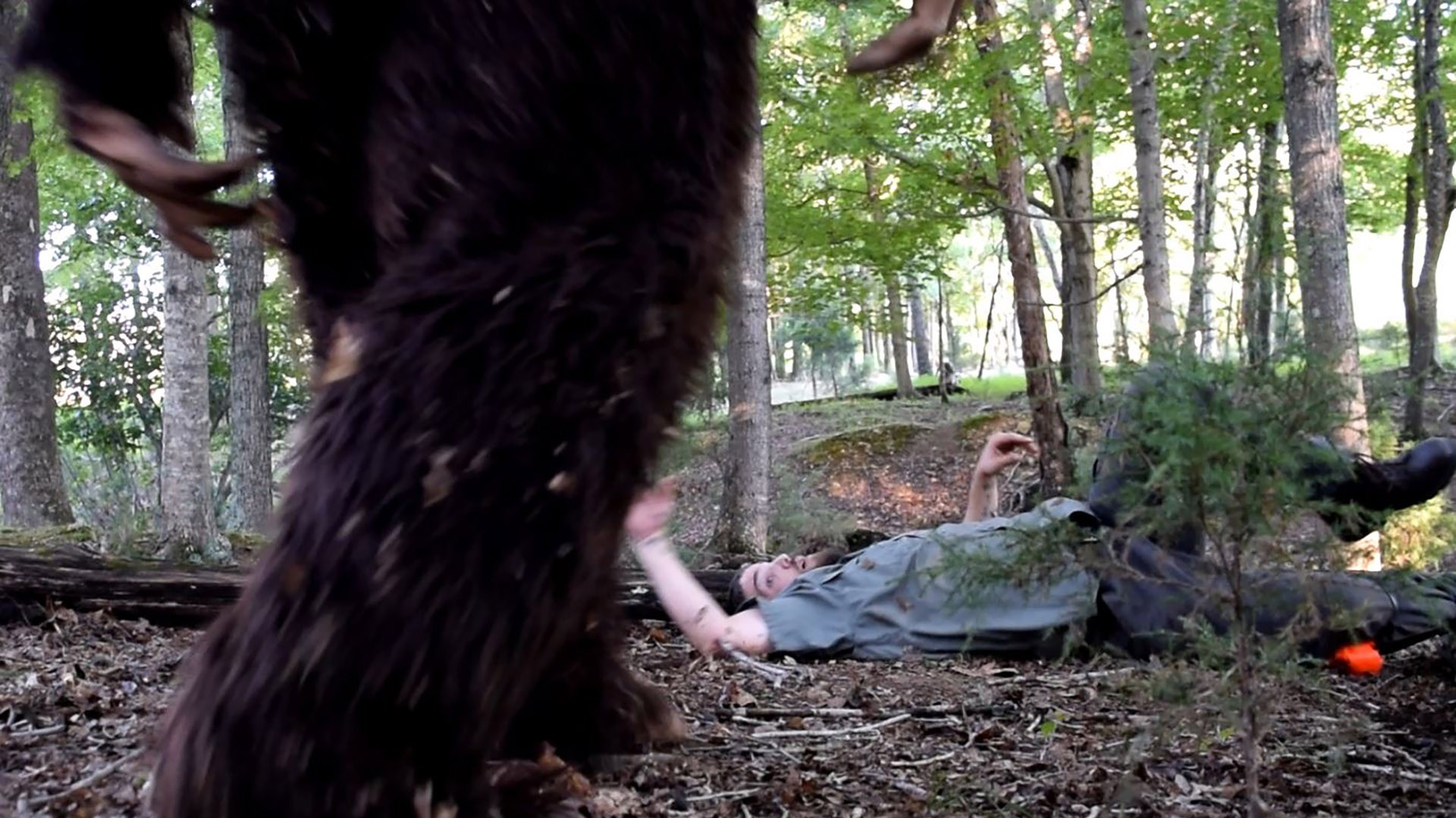 Backdrop for Taku-He