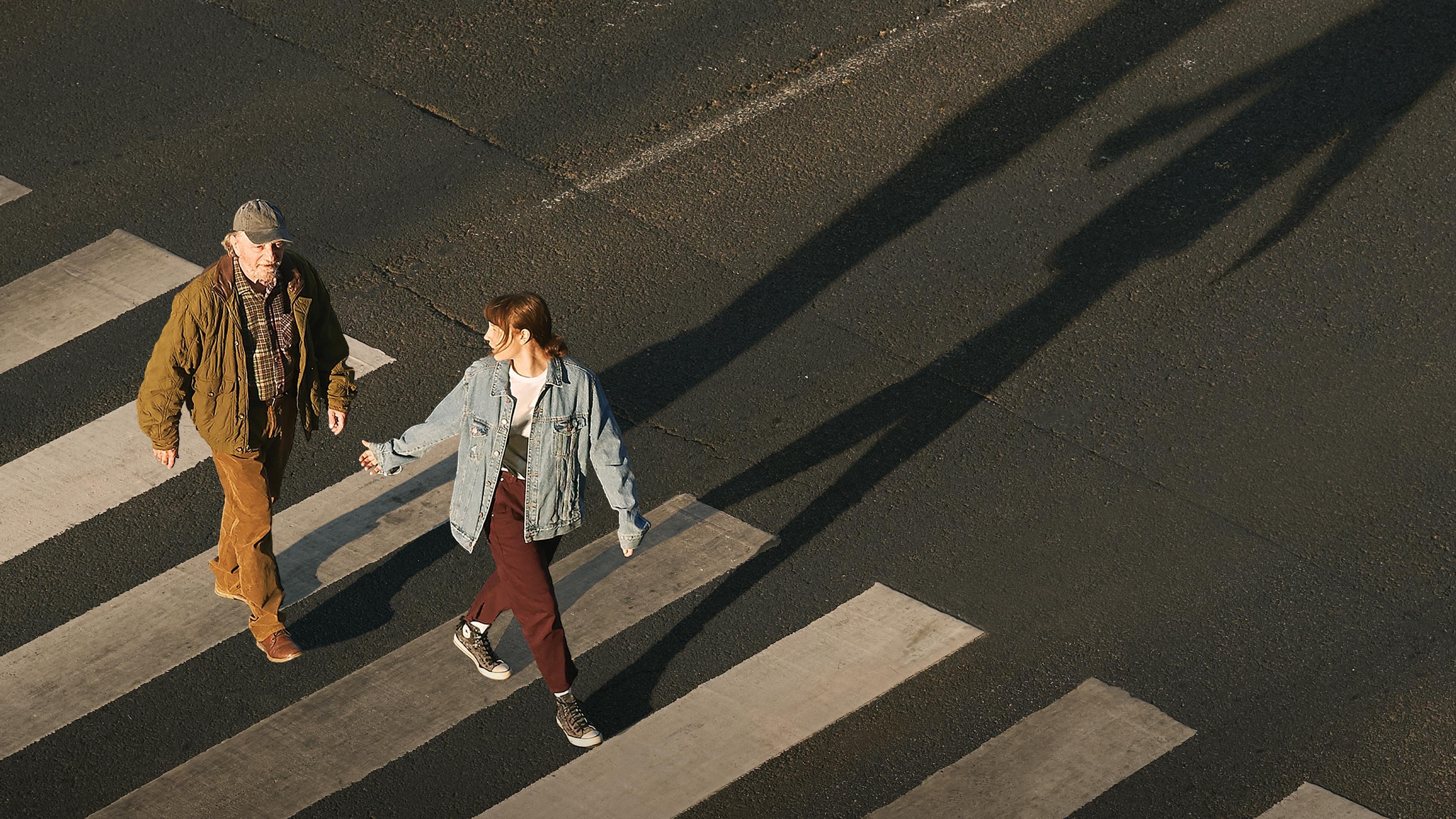 Backdrop for Some Birds