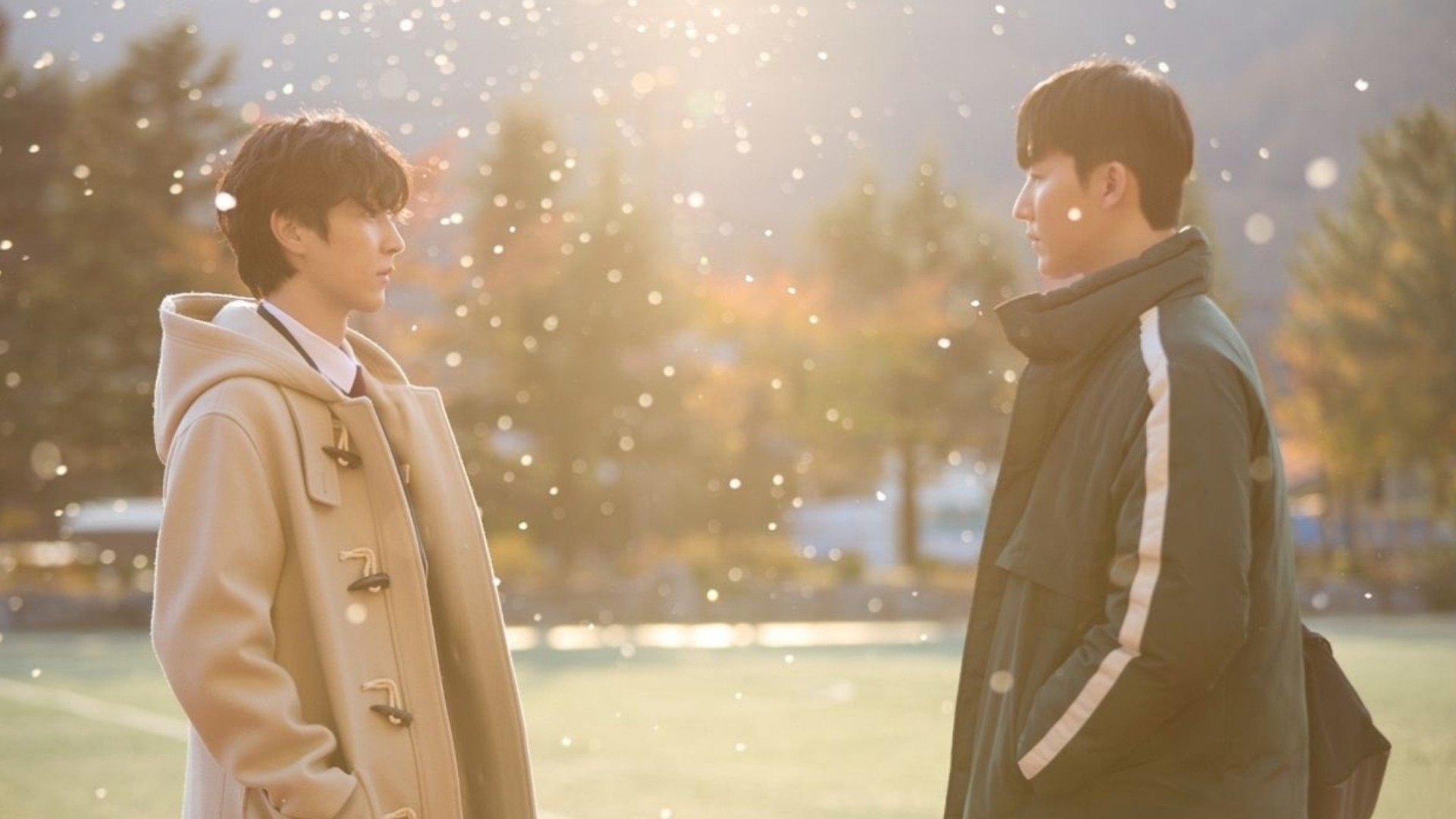 Backdrop for The Time of Fever