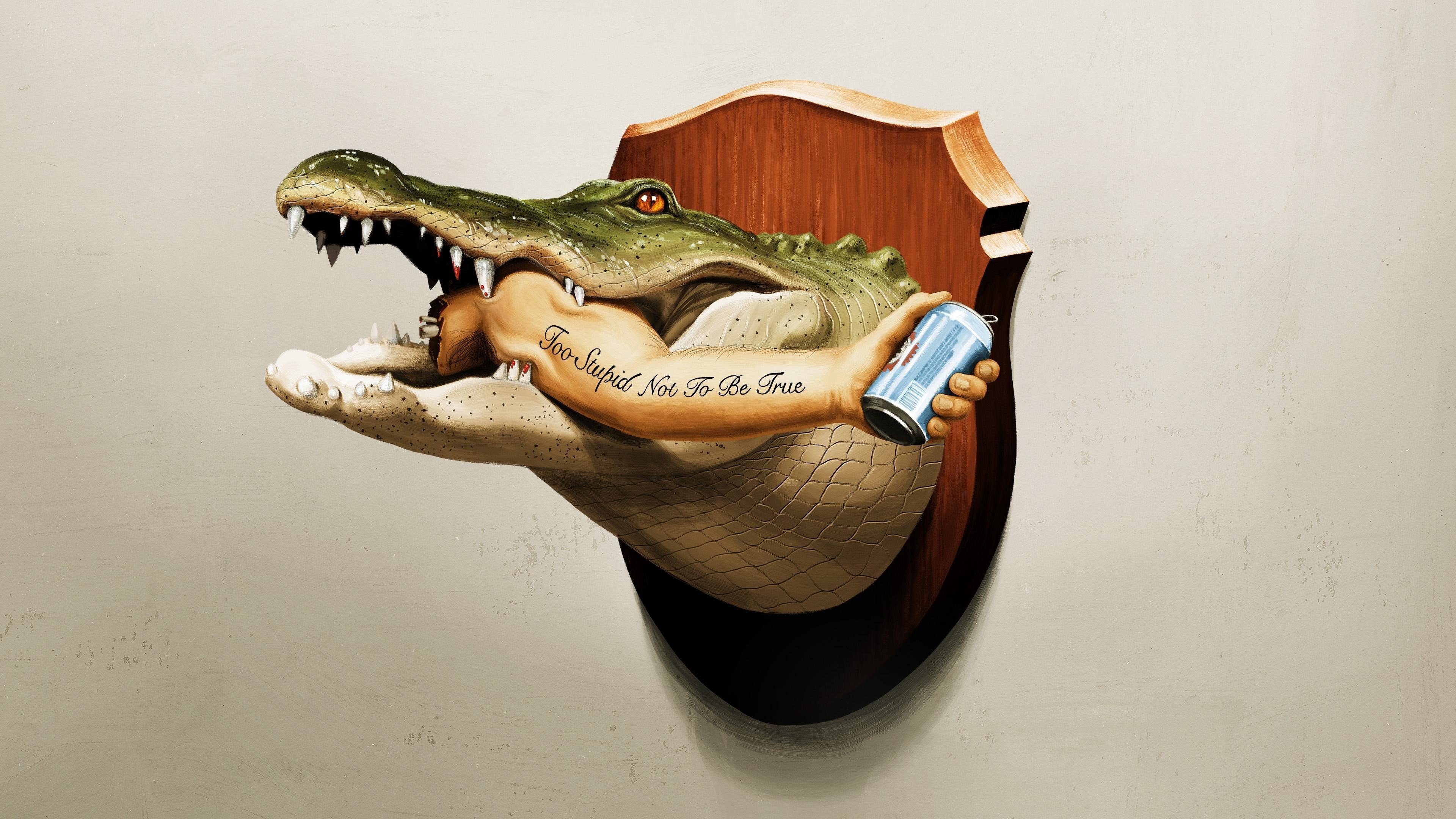 Backdrop for It's Florida, Man.