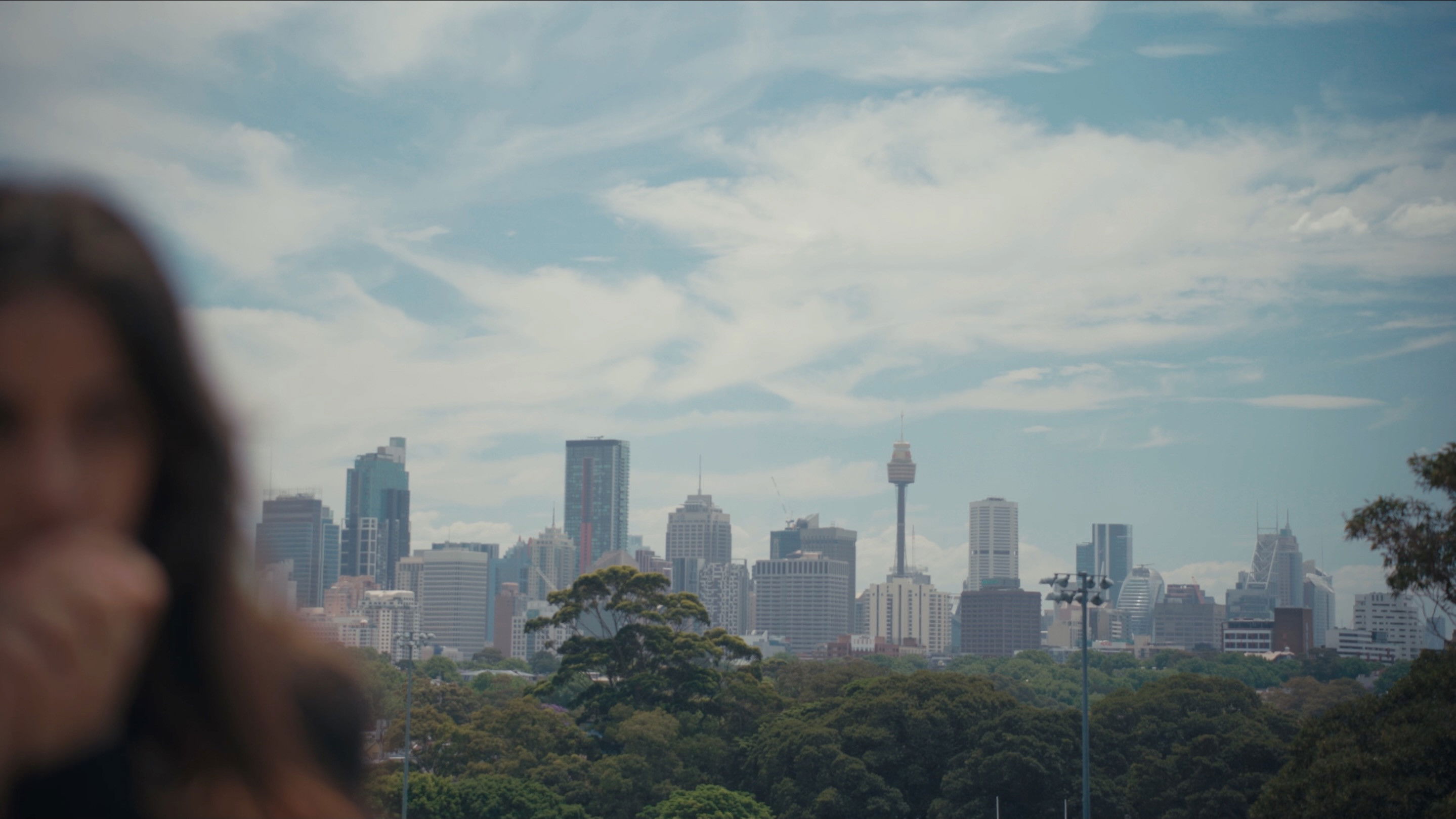 Backdrop for THE STOP