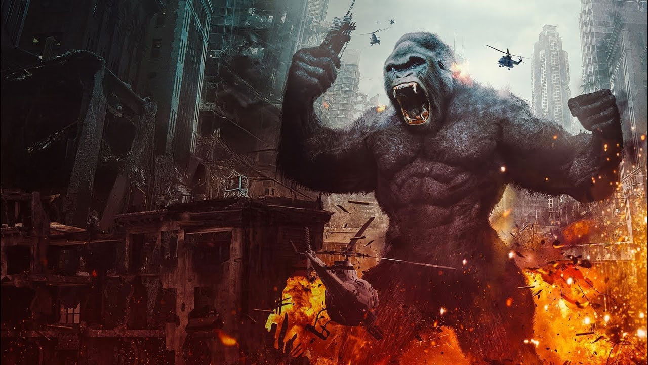 Backdrop for Konga TNT