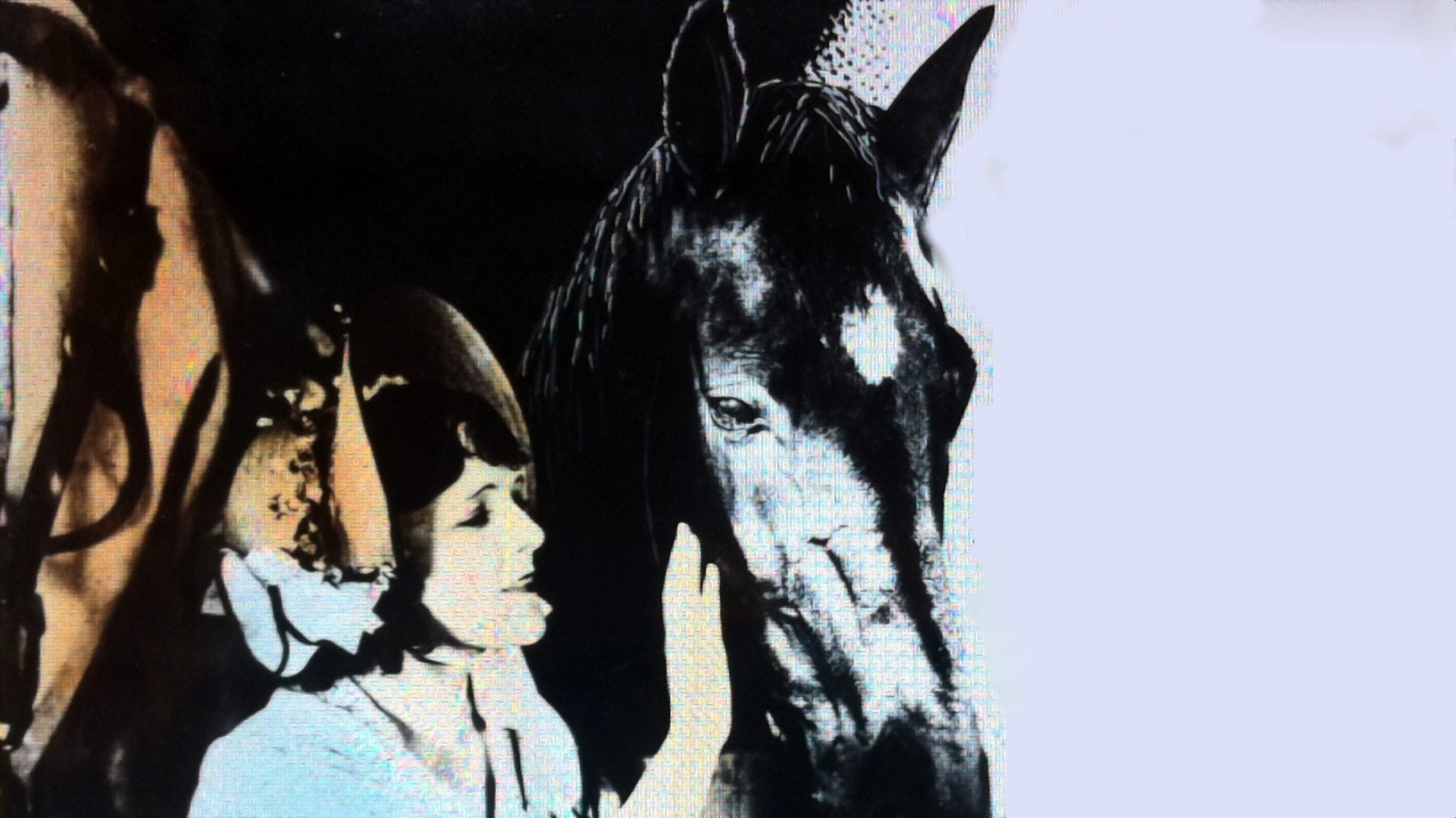 Backdrop for Black Beauty