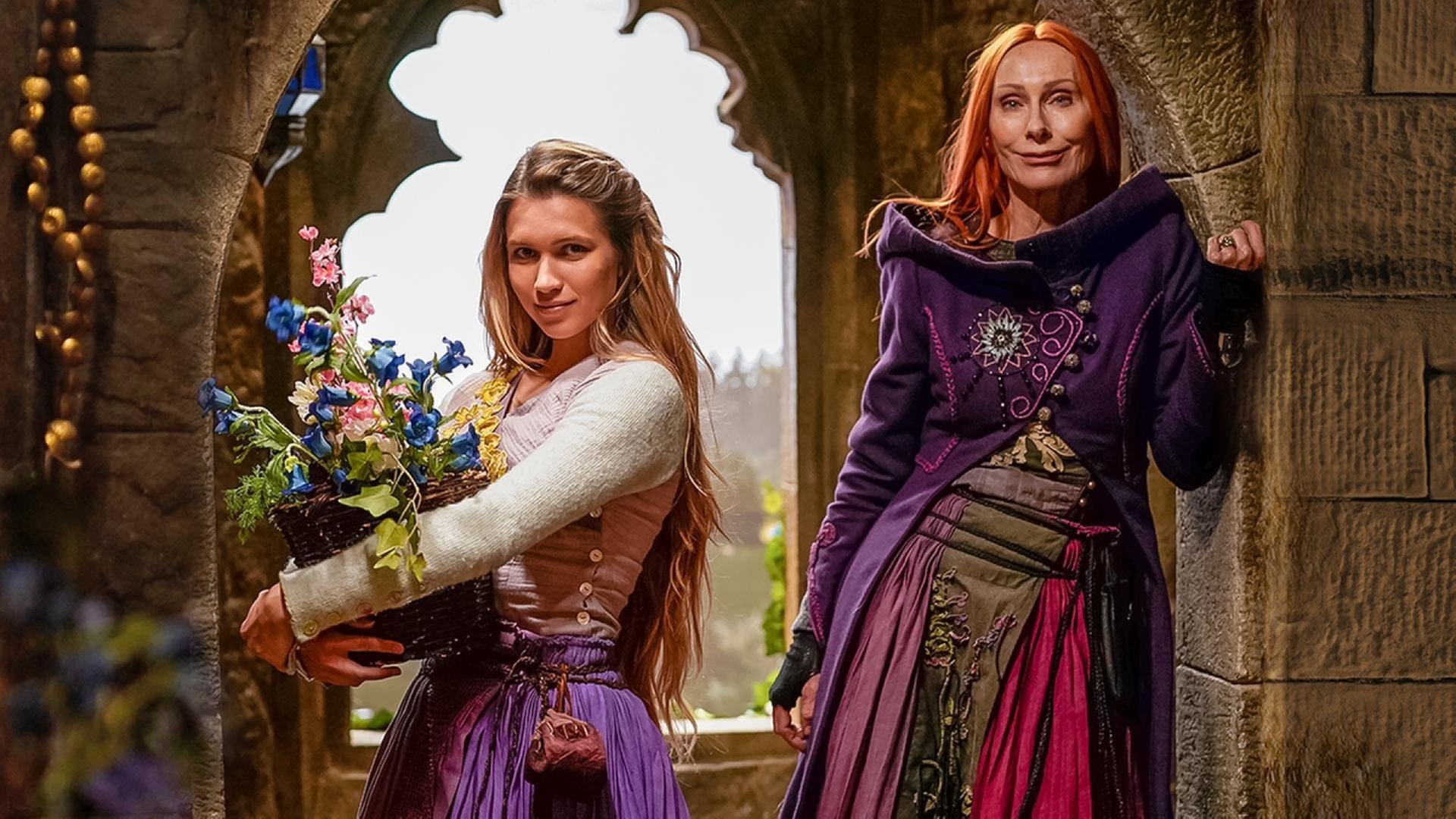 Backdrop for Rapunzel and the Return of the Falcons