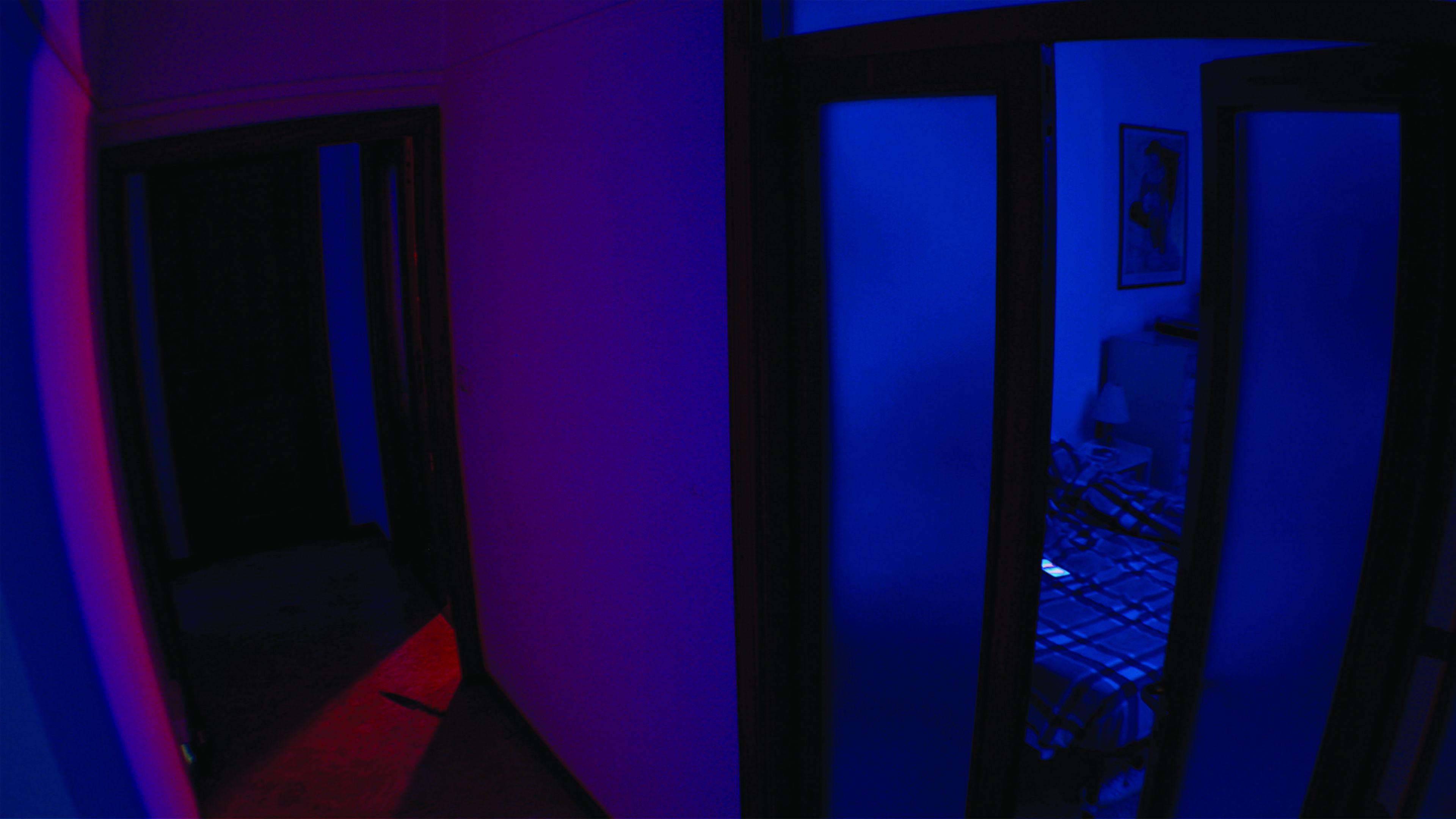 Backdrop for All'ordine della notte