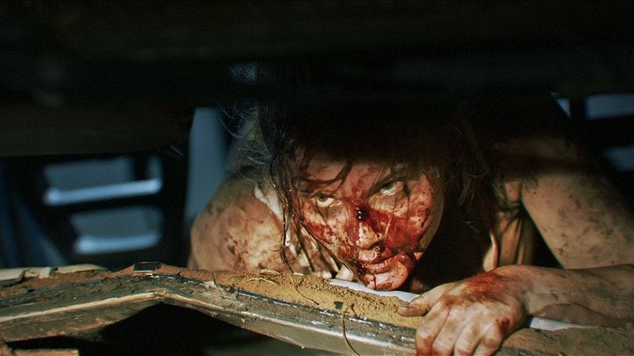 Backdrop for Lake Bodom