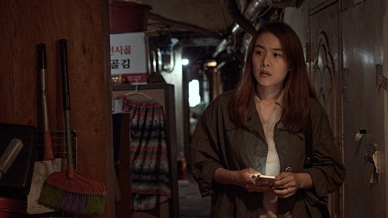 Backdrop for Spring Garden