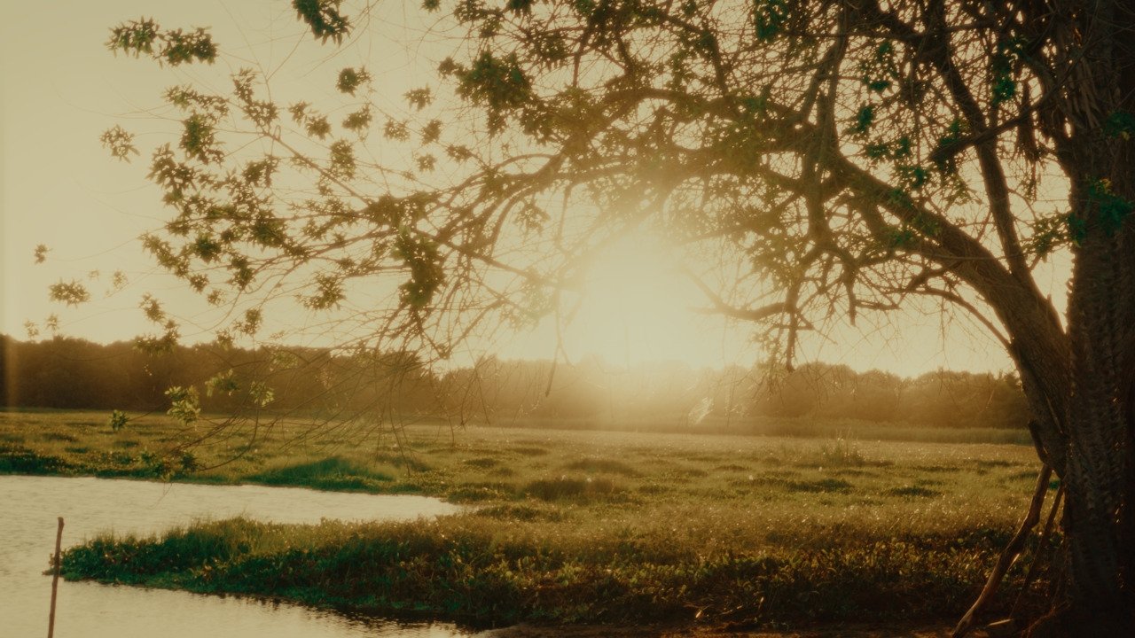 Backdrop for Por Todos Os Lugares Que Já Passei