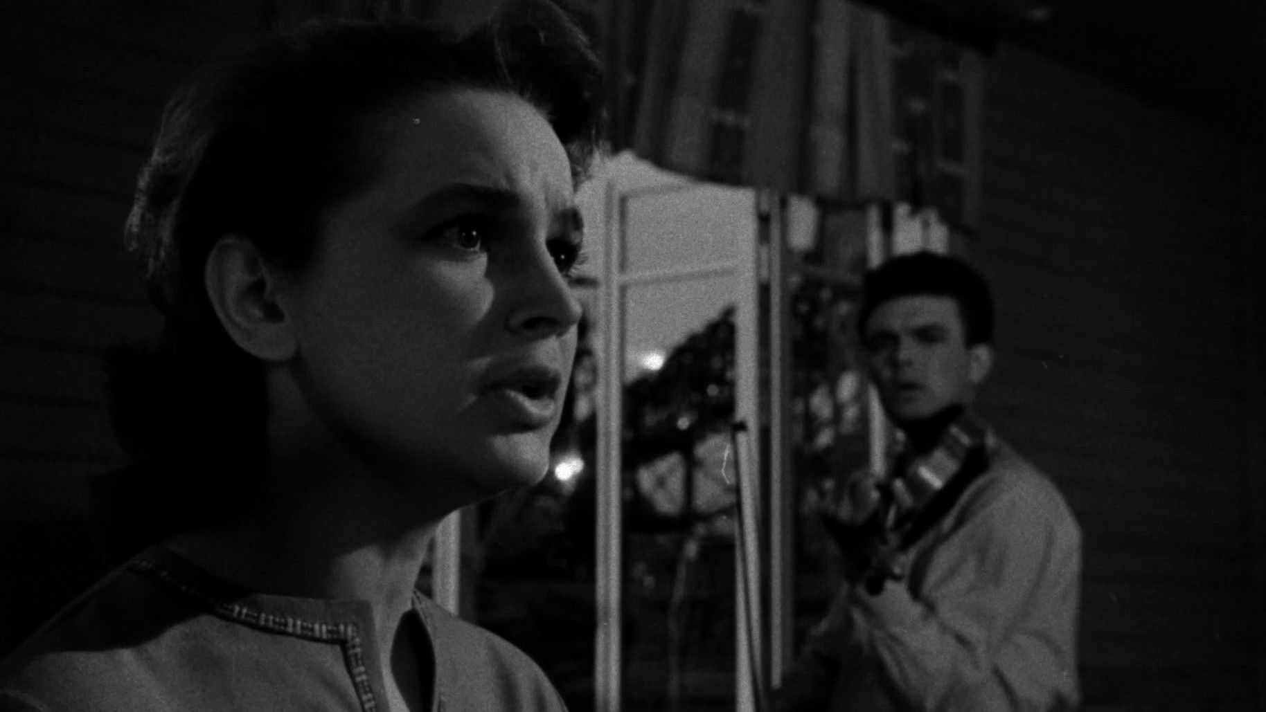 Backdrop for Flower on the Stone