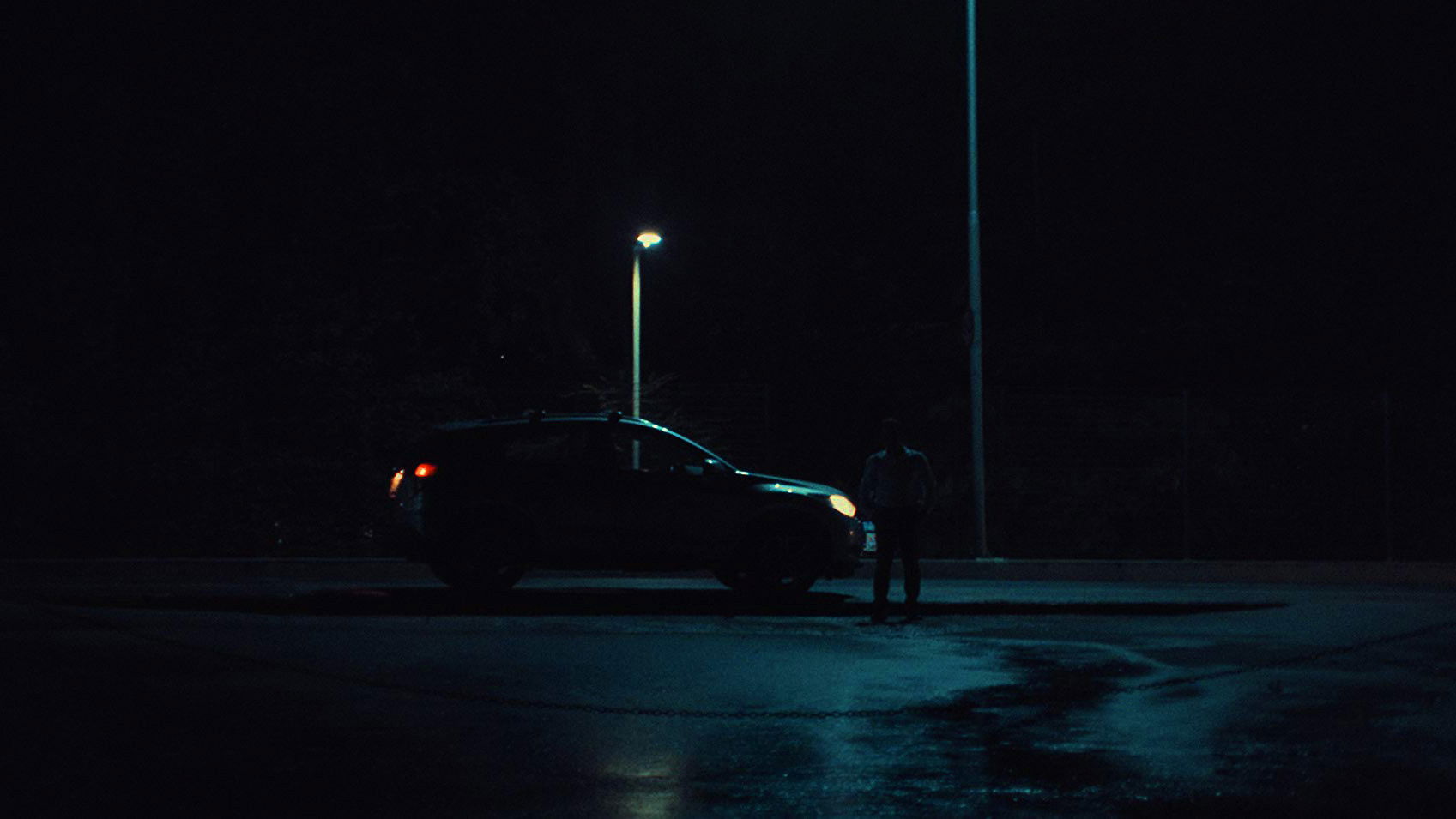 Backdrop for The King Crab