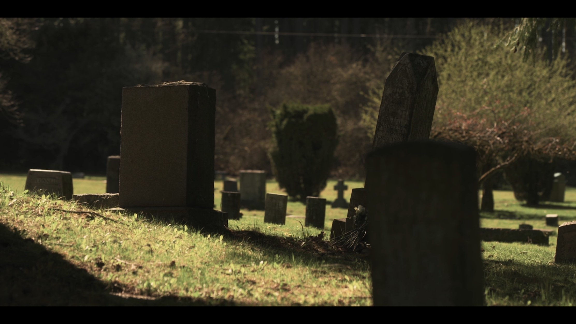 Backdrop for They Reach