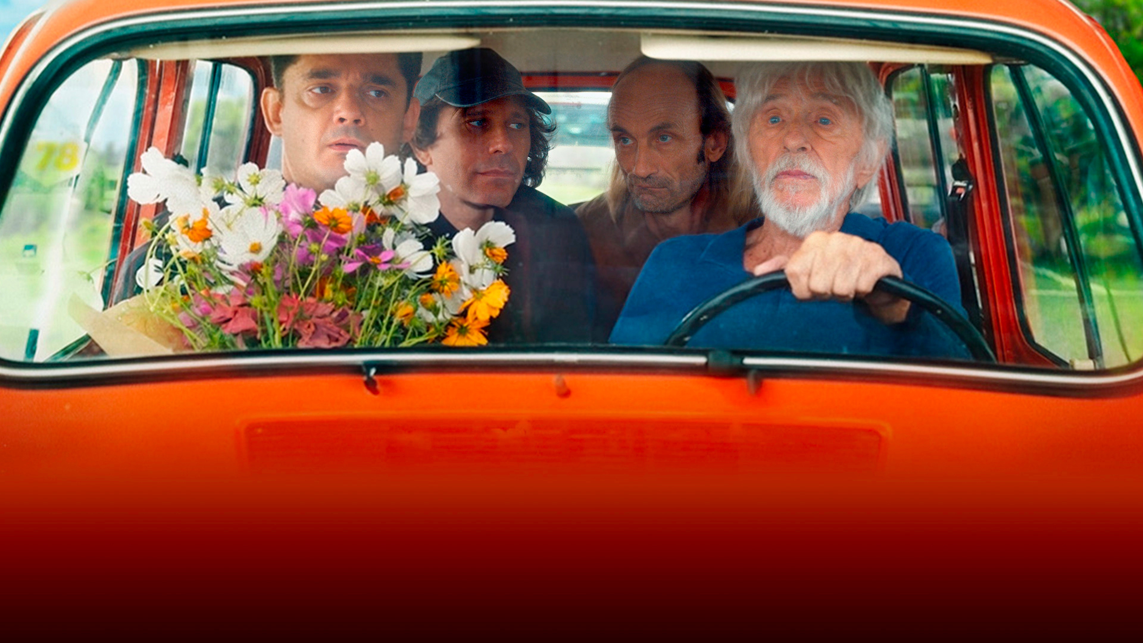 Backdrop for Fêlés