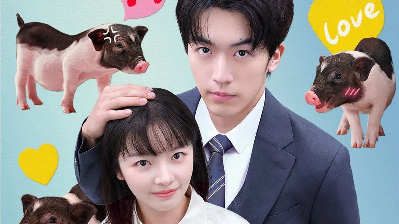 Backdrop for My Piggy Boss