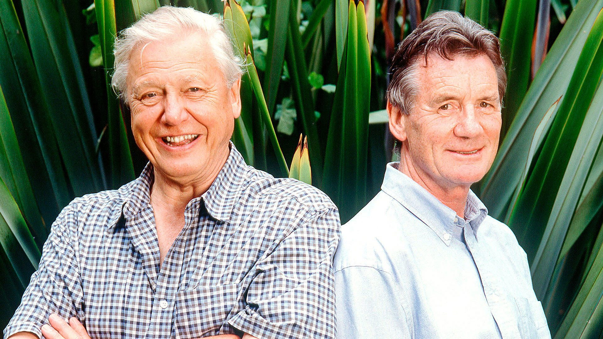 Backdrop for Life on Air: David Attenborough's 50 Years in Television