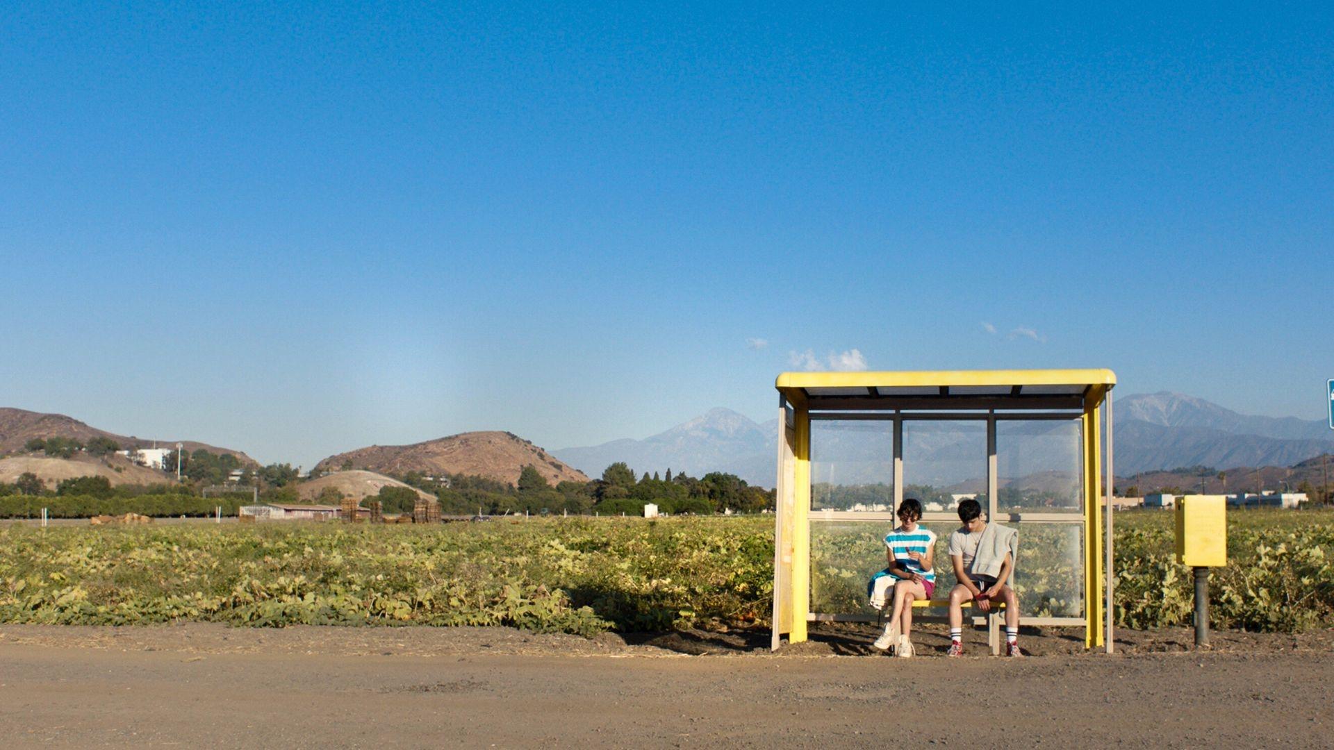 Backdrop for Aristotle and Dante Discover the Secrets of the Universe