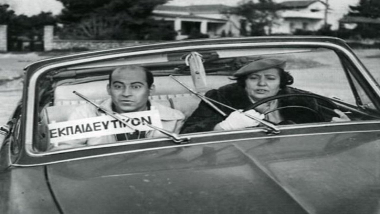 Backdrop for School for Chauffeur Ladies