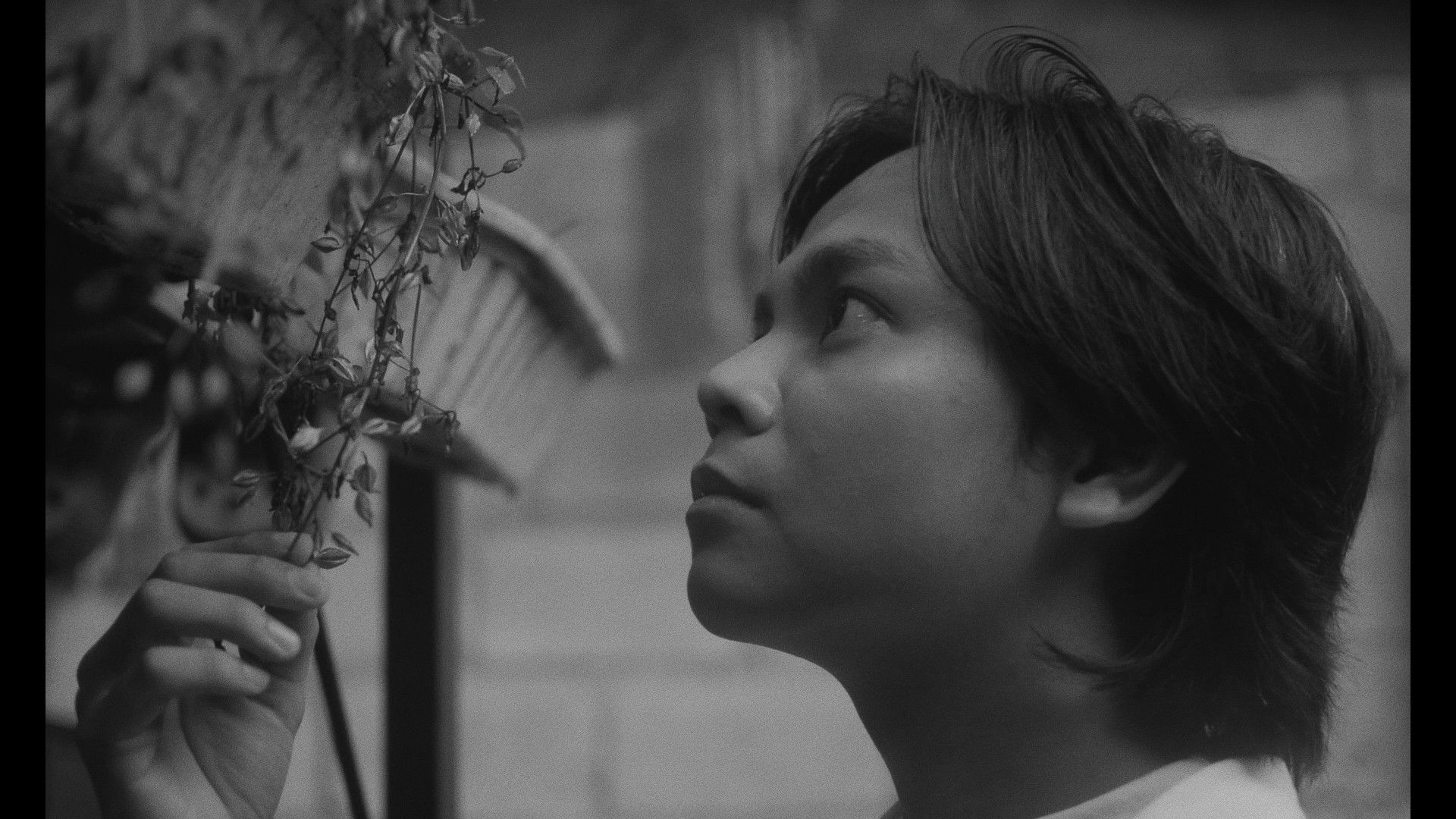 Backdrop for When We Cross