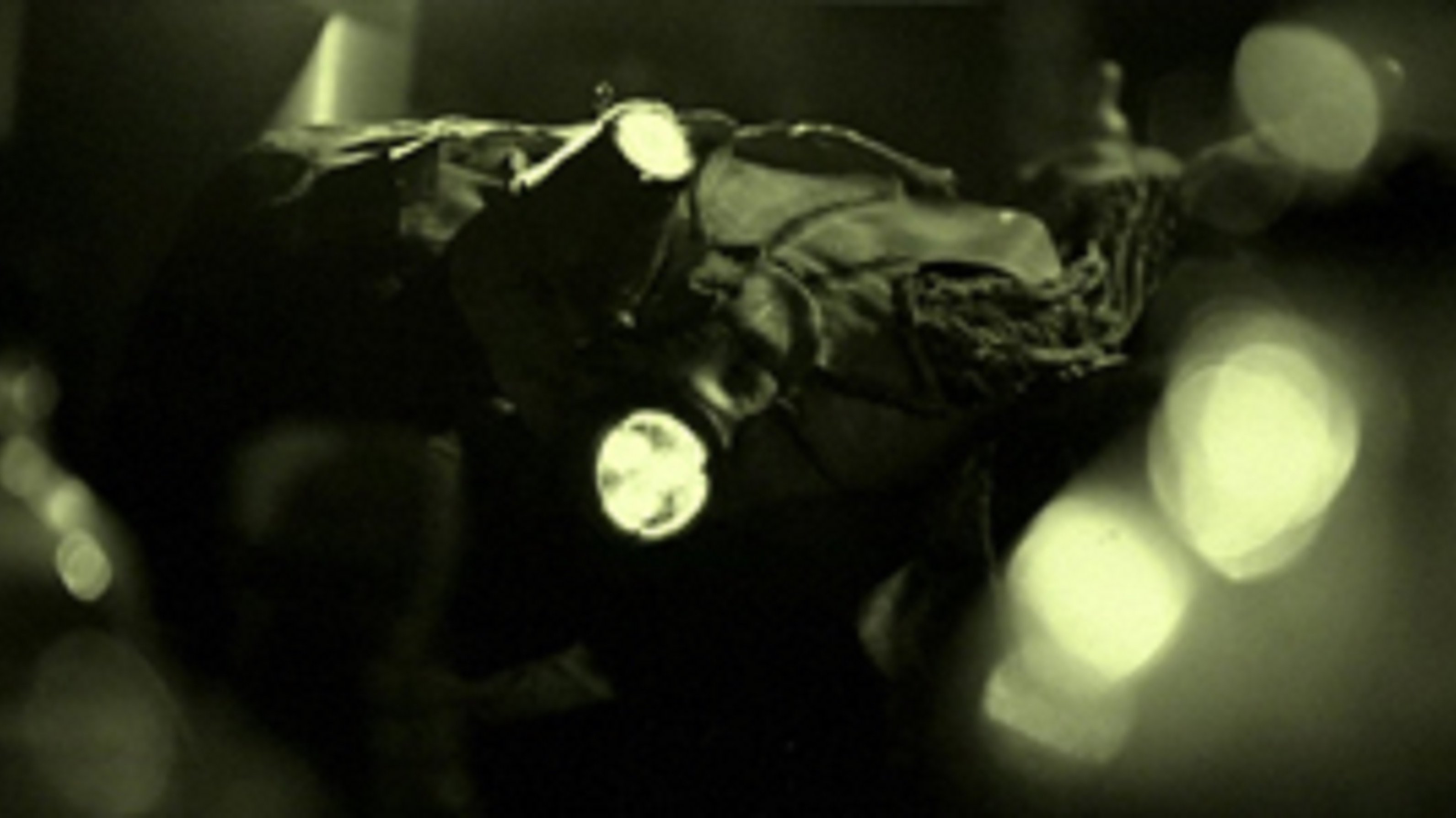 Backdrop for Je n’aurais pas dû manger le chat