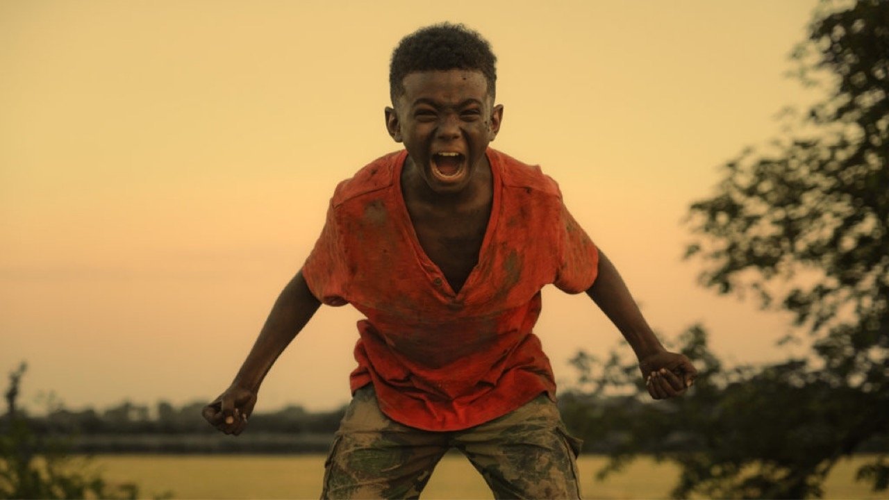 Backdrop for The Last Tree