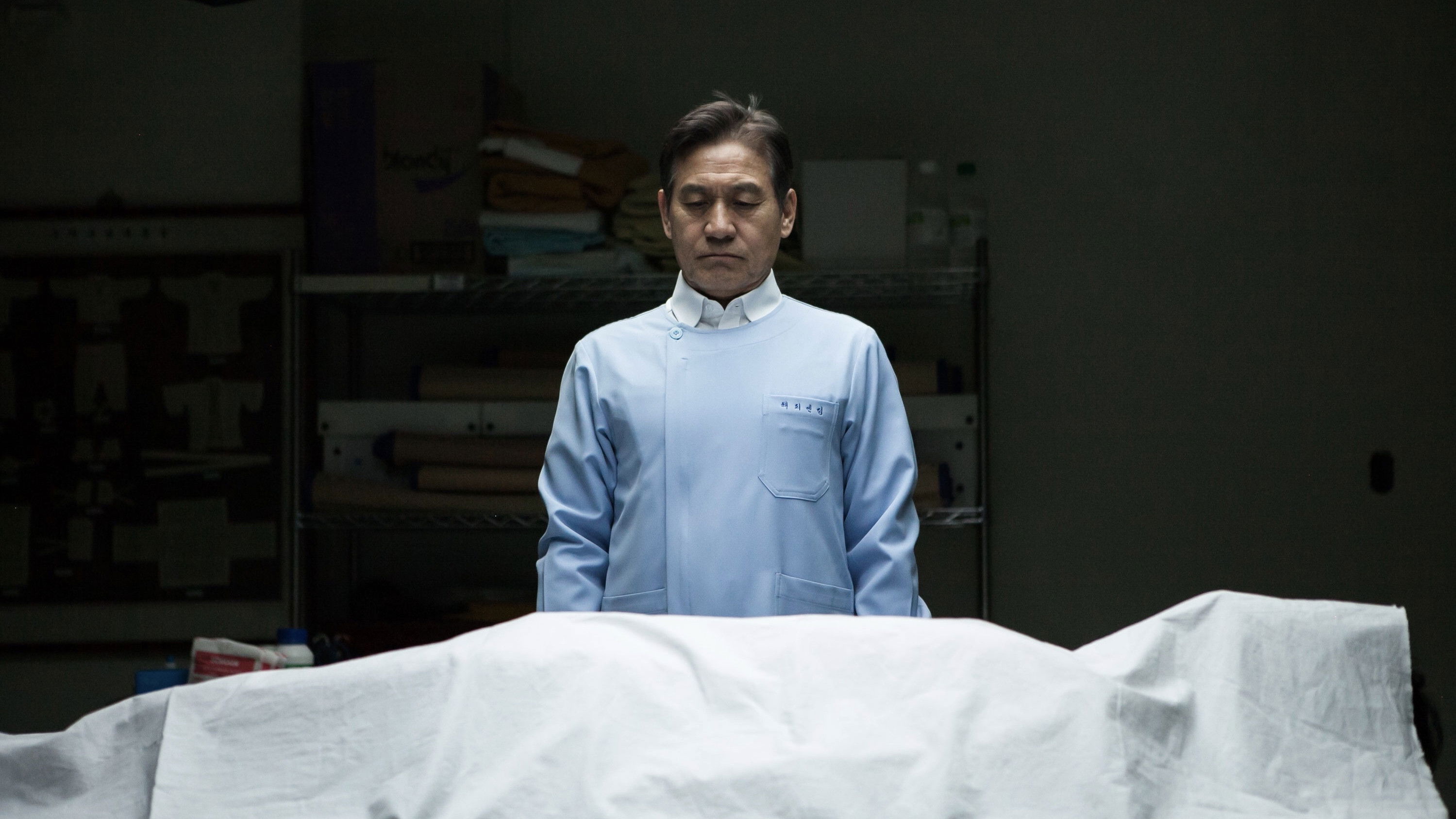 Backdrop for Paper Flower