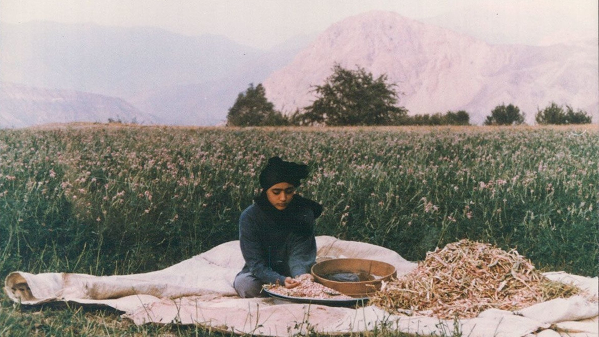 Backdrop for The Pear Tree