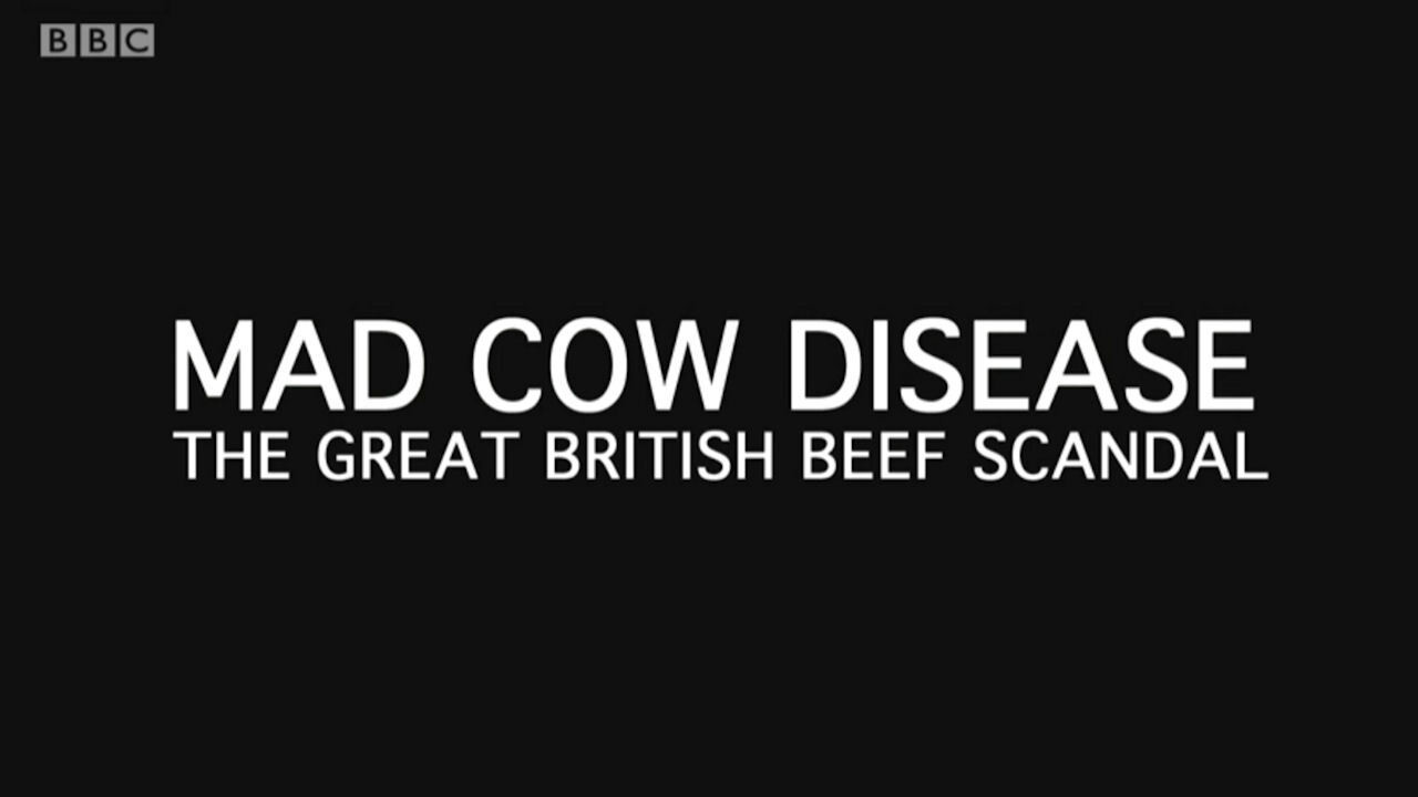 Backdrop for Mad Cow Disease: The Great British Beef Scandal