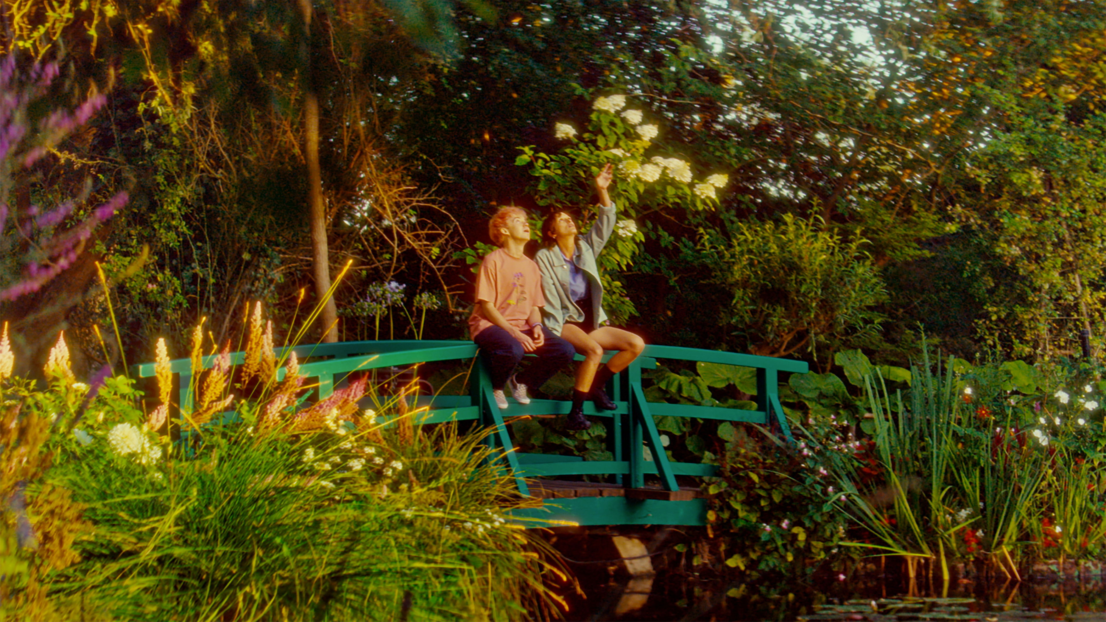 Backdrop for A Second Life