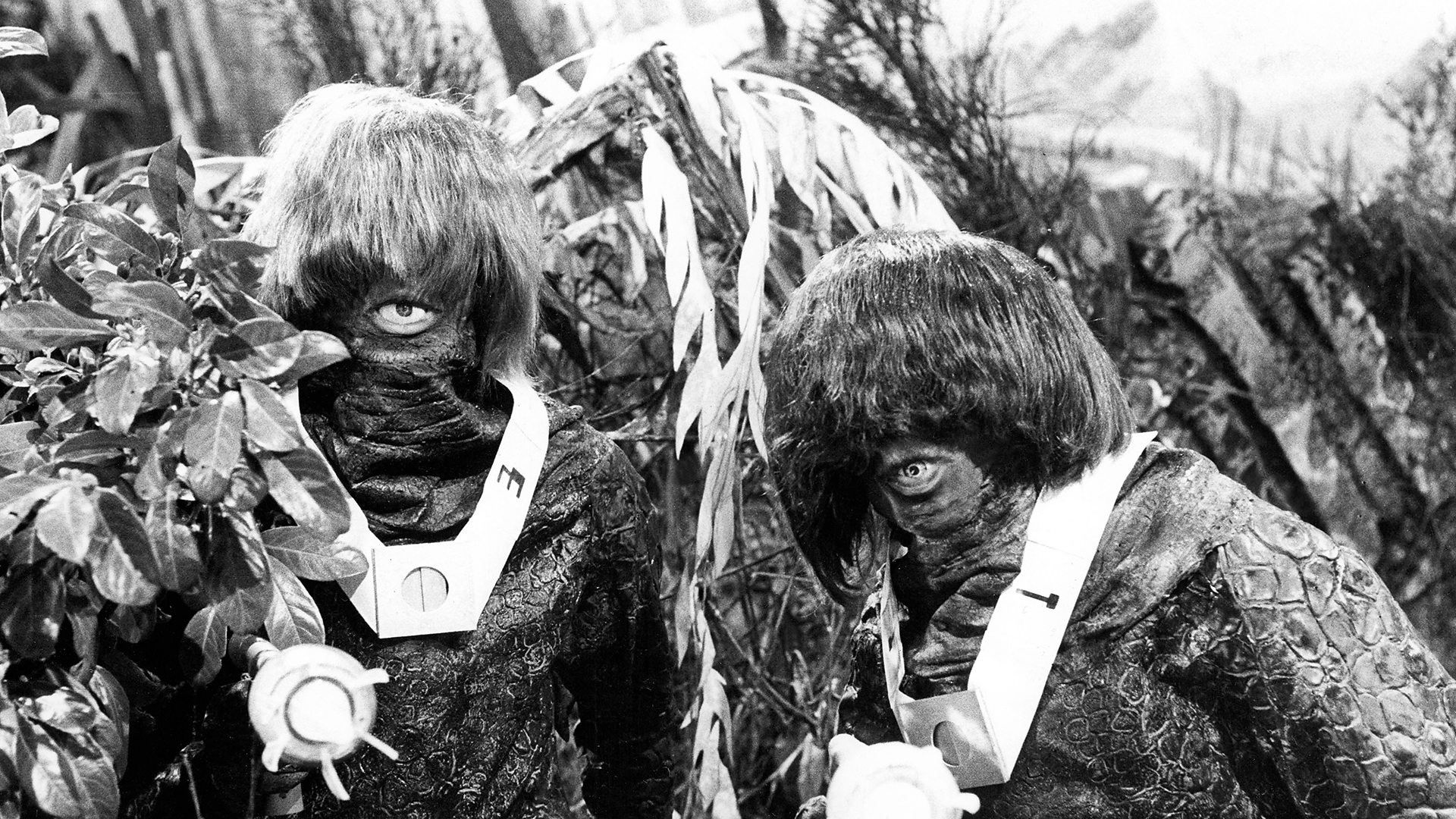 Backdrop for Doctor Who: The Ark