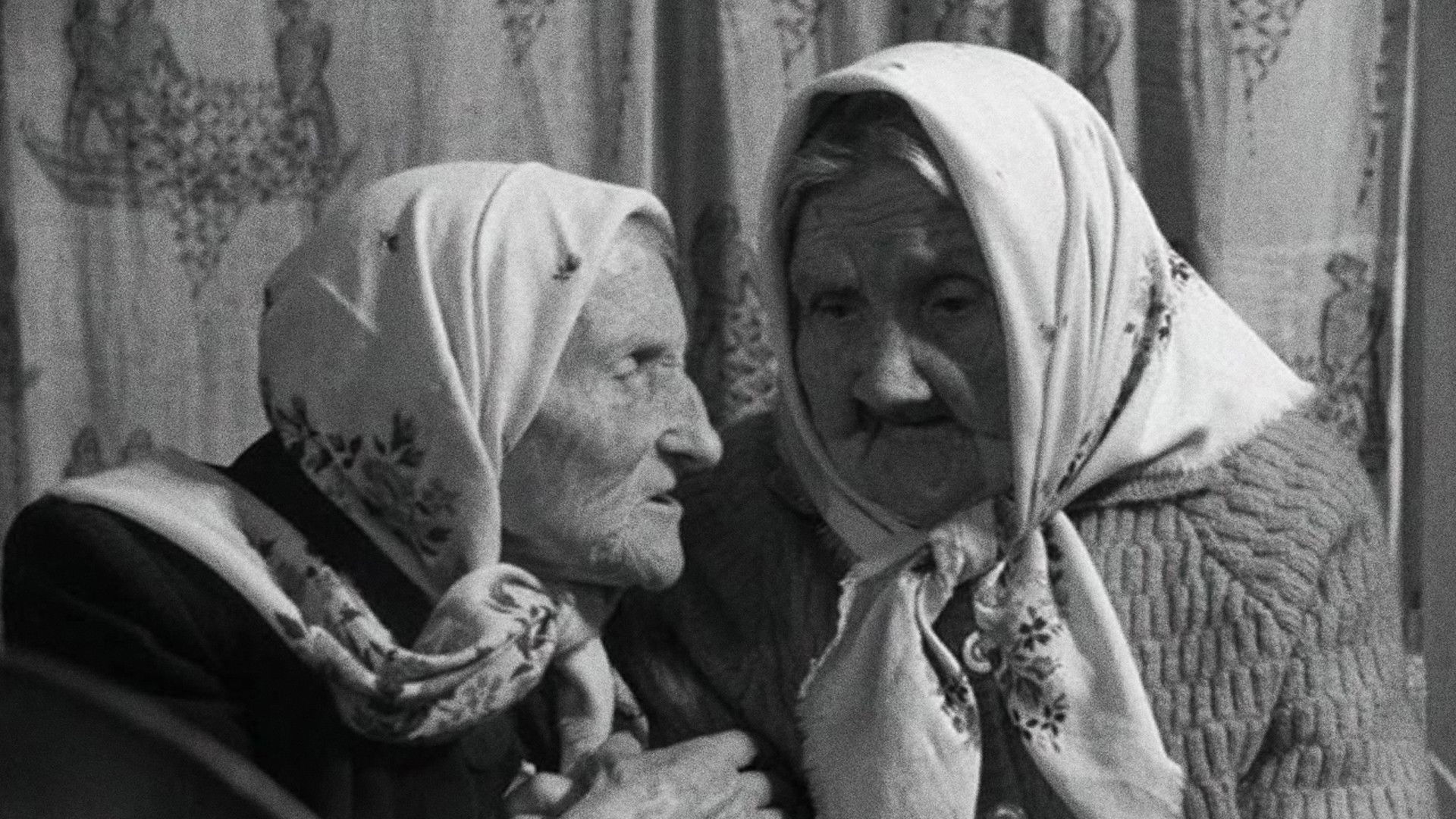 Backdrop for The Dreams of the Centenarians